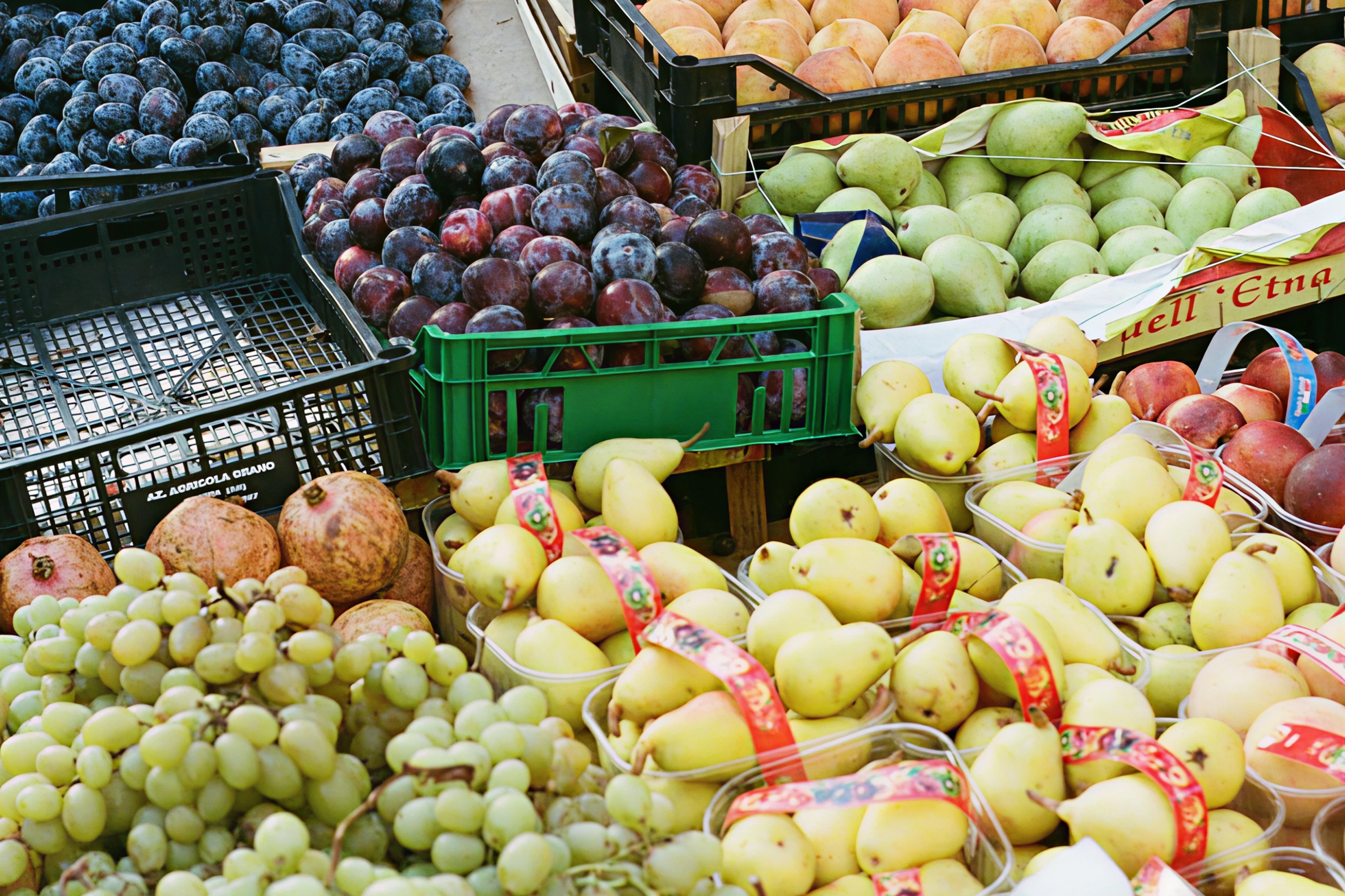 mediterranean diet for longevity