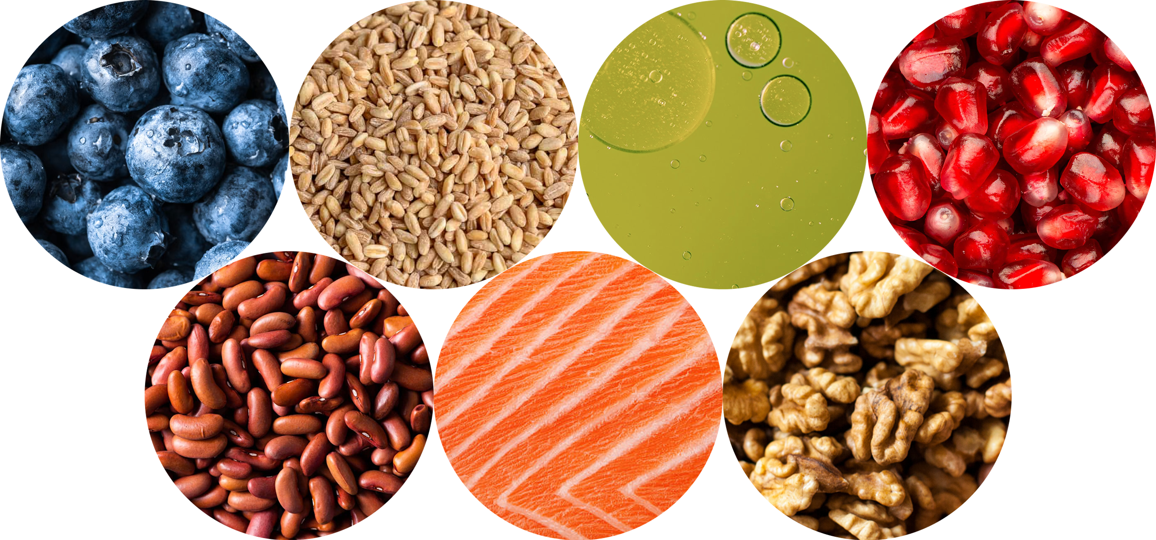 longevity friendly ingredients