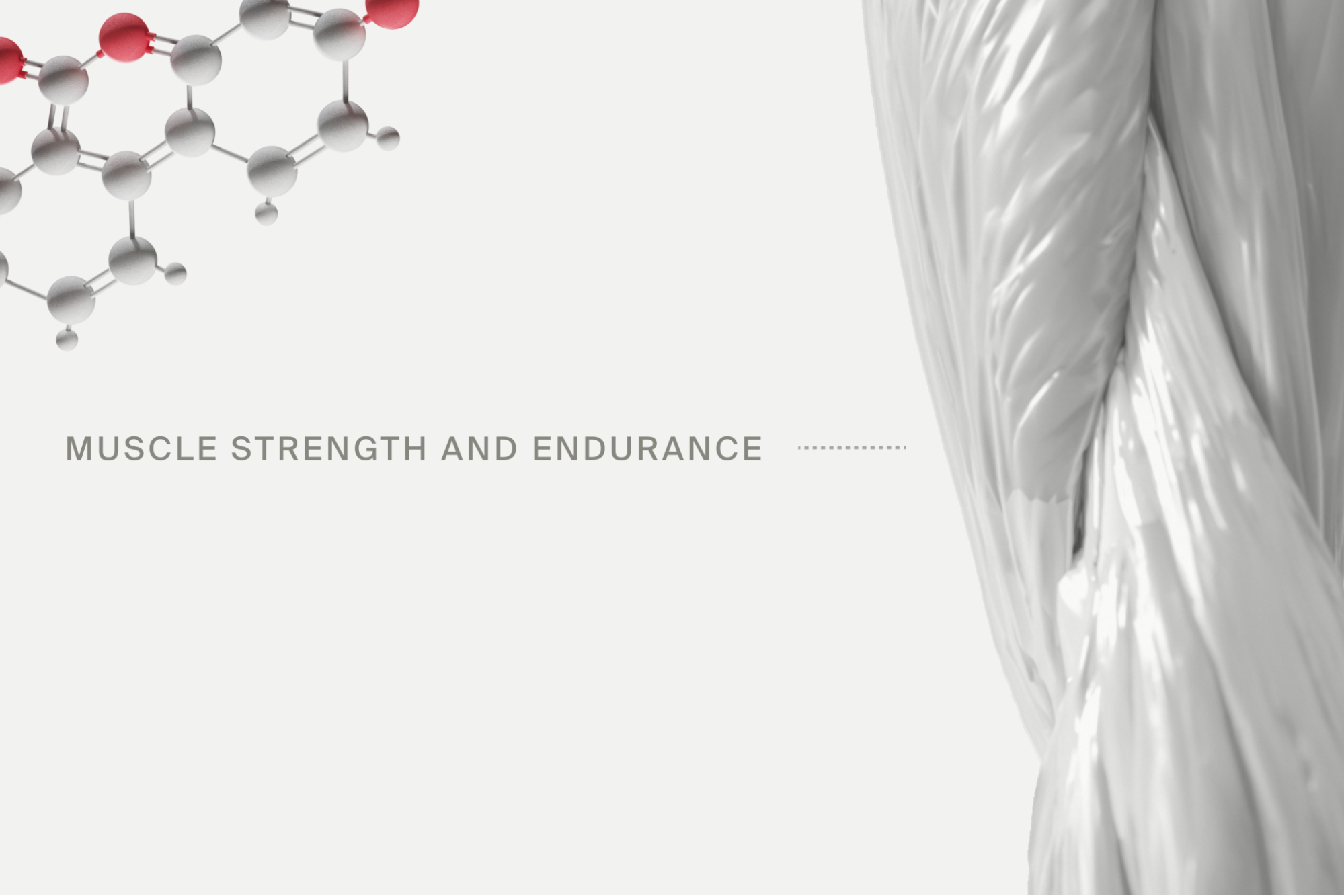muscle strength and endurance