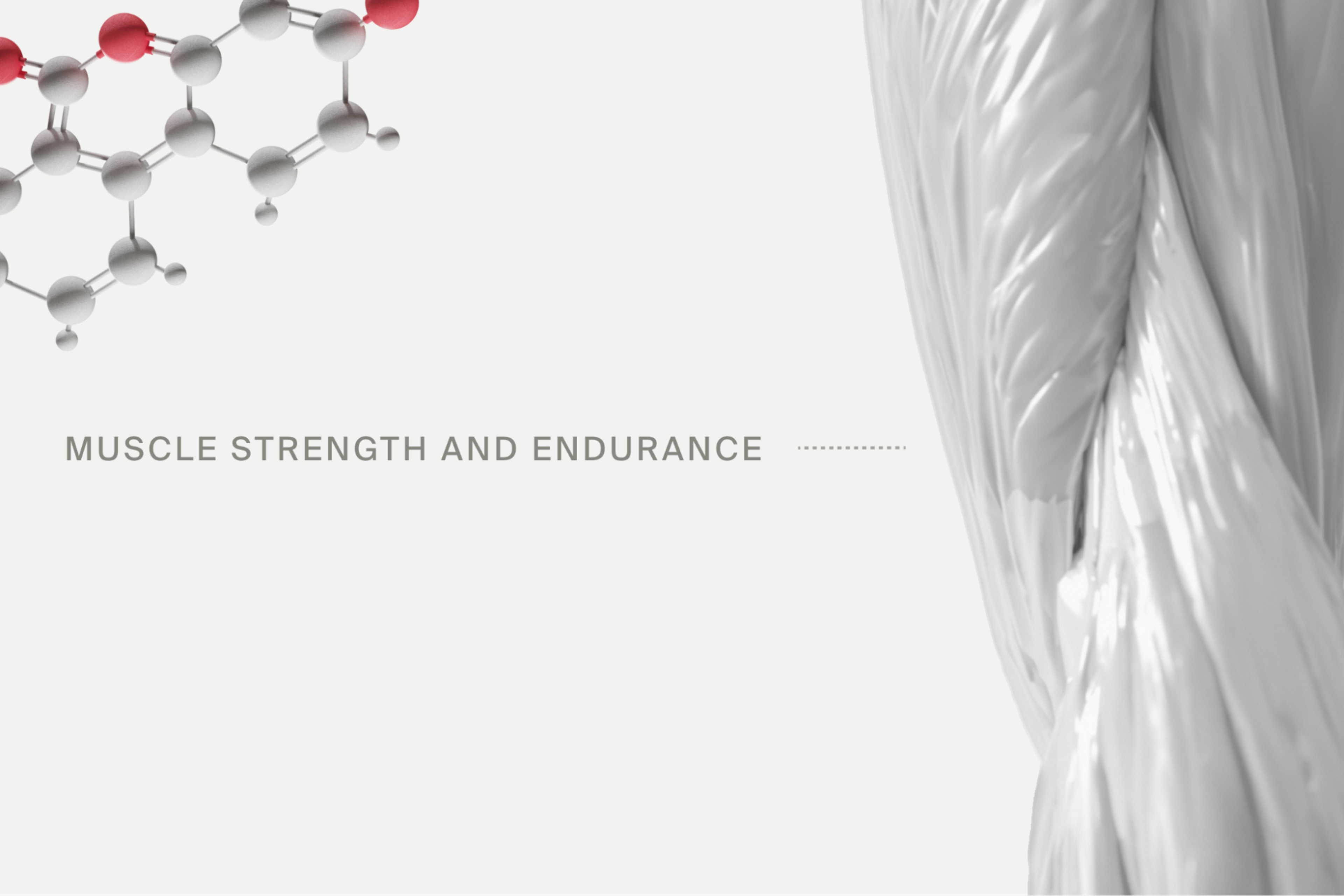 muscle strength and endurance