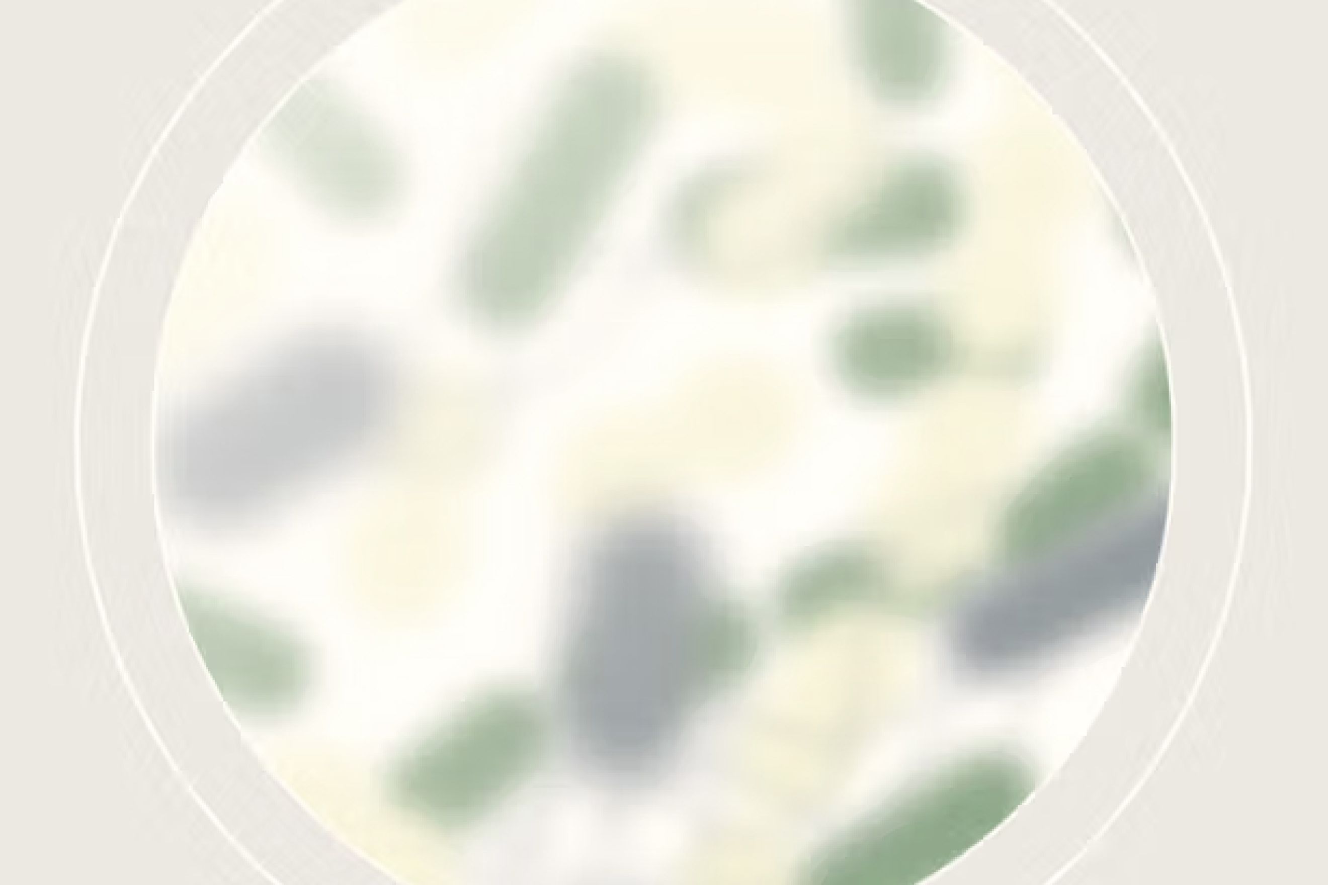 microscope