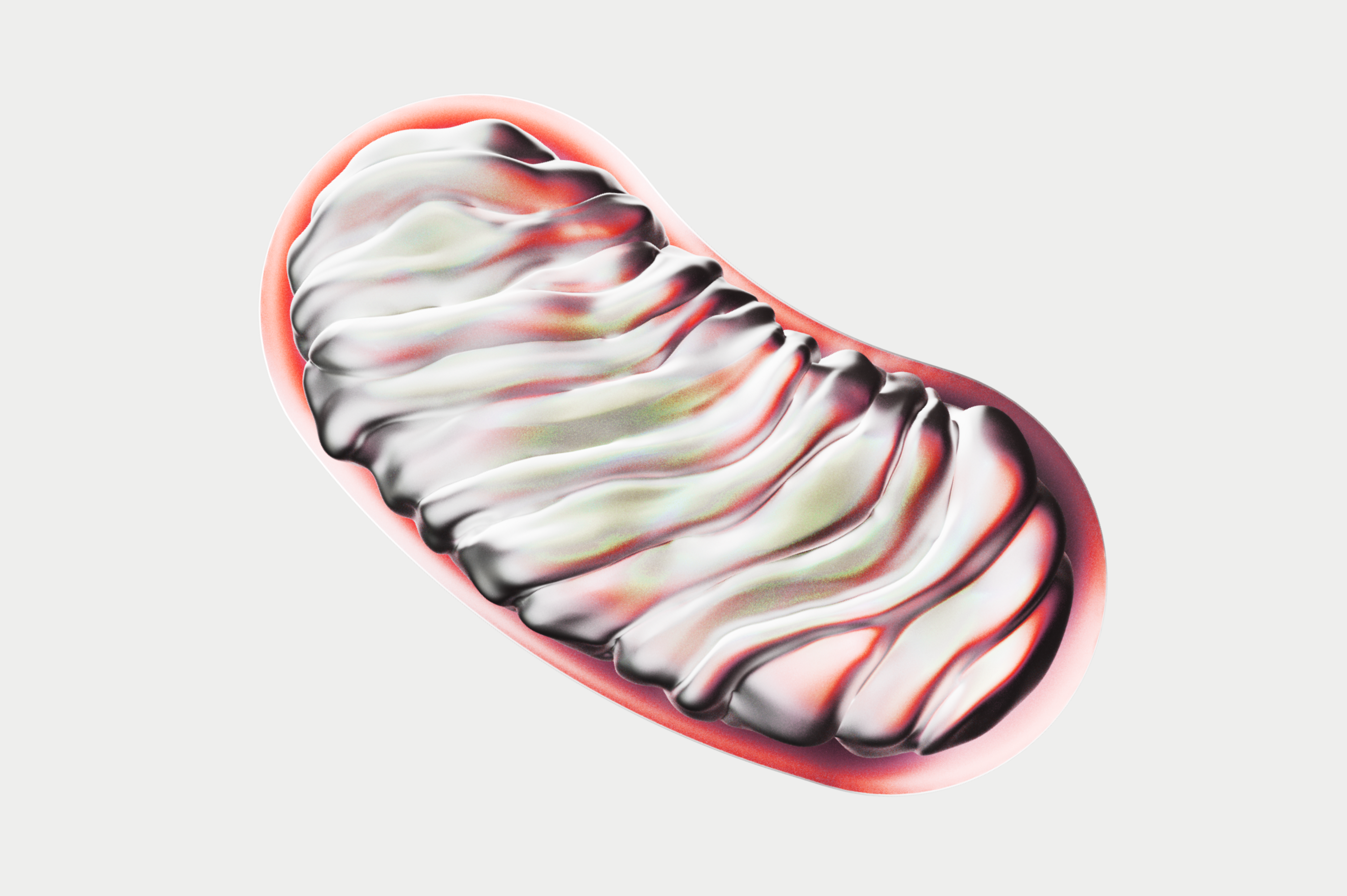 3D render of a stylized mitochondria