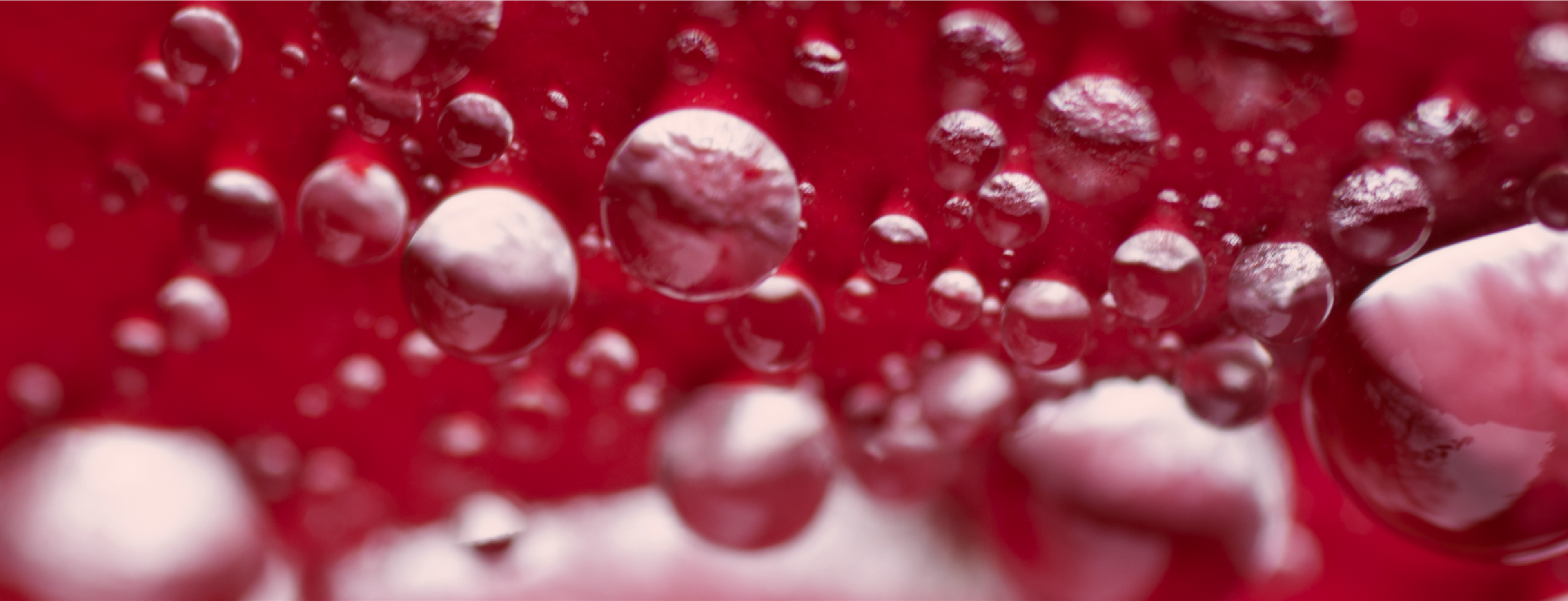 Pomegranate juice