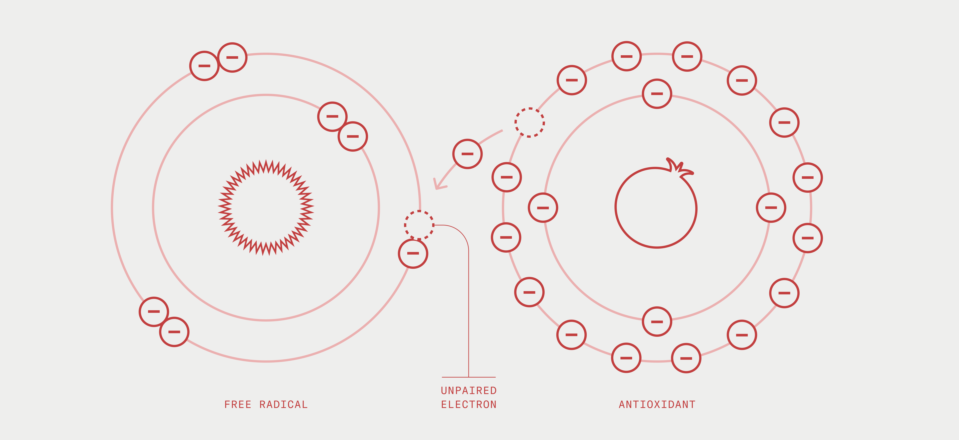 Diagram depicting an antioxidant atom giving away an electron to a free radical
