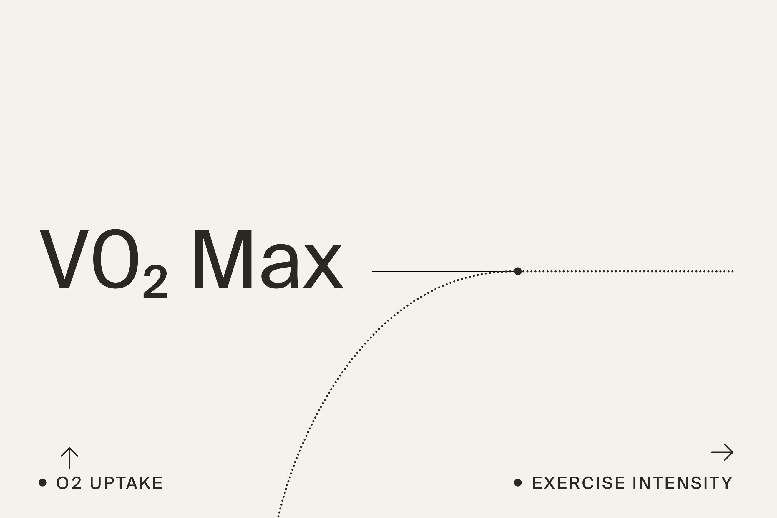 VO2 Max definition