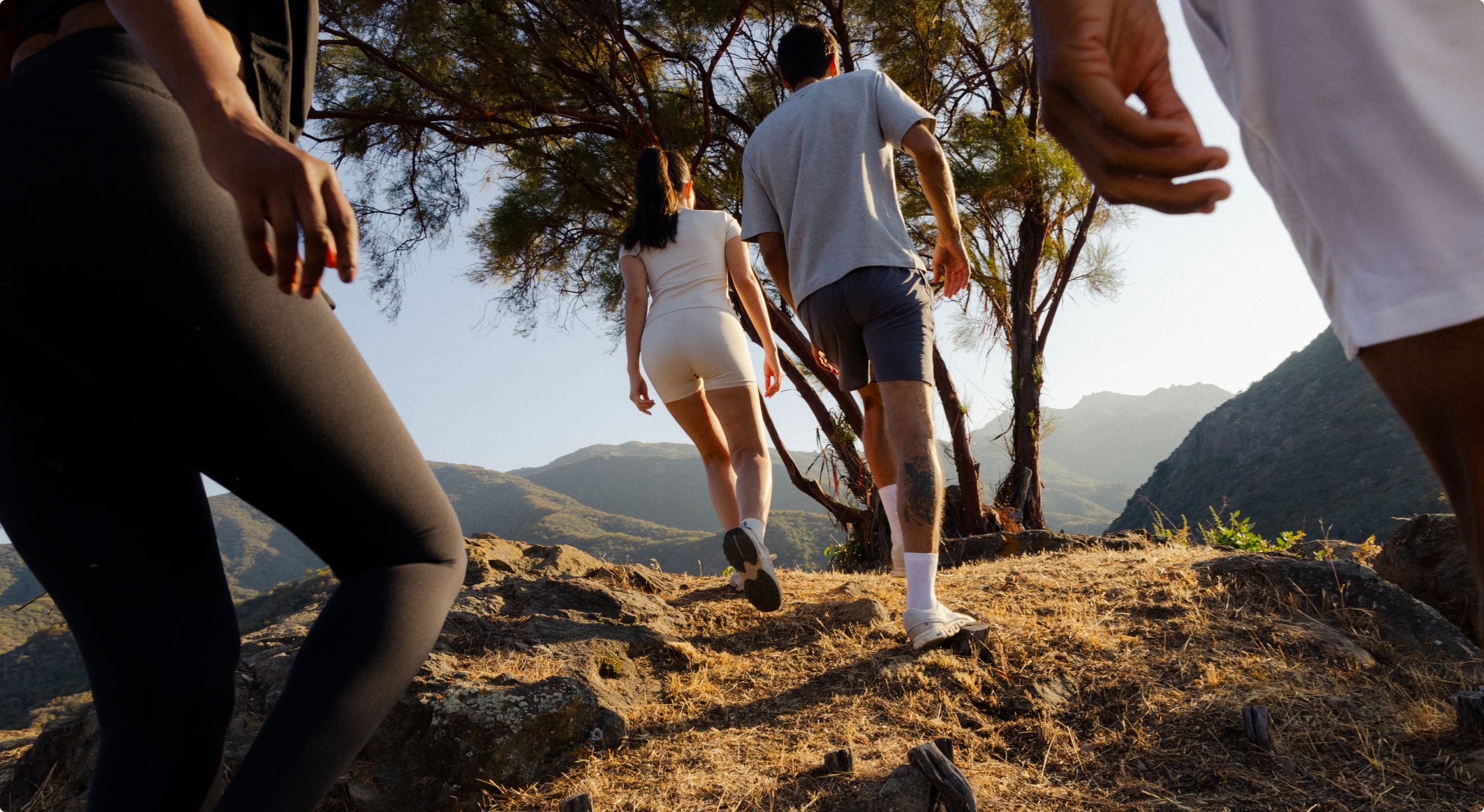 how to support your immune system