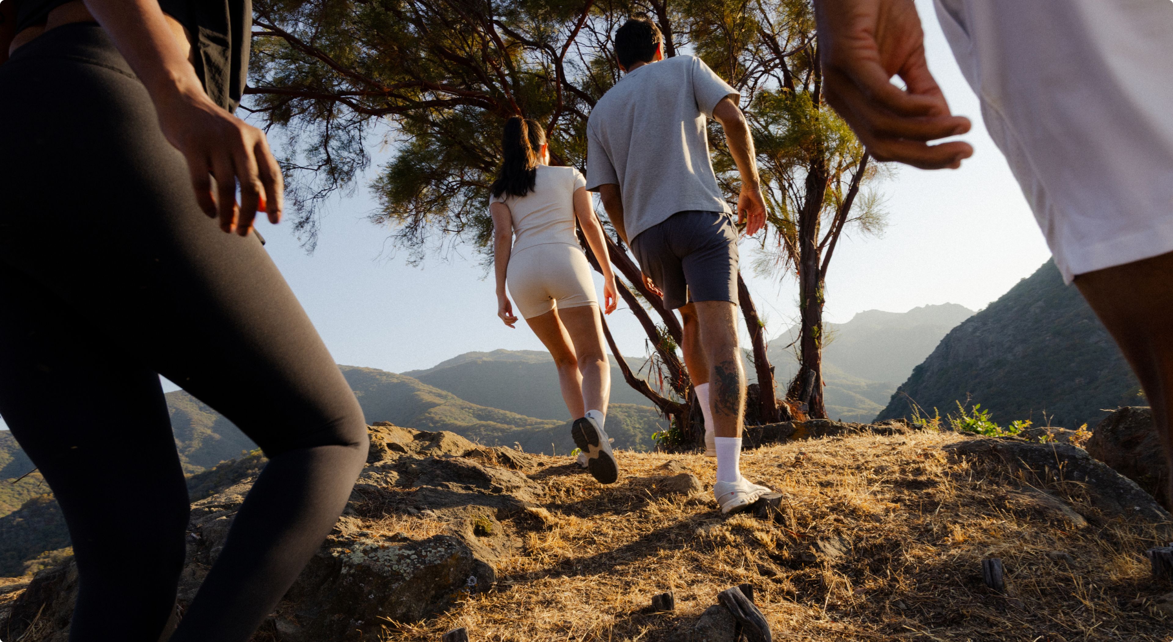 how to support your immune system