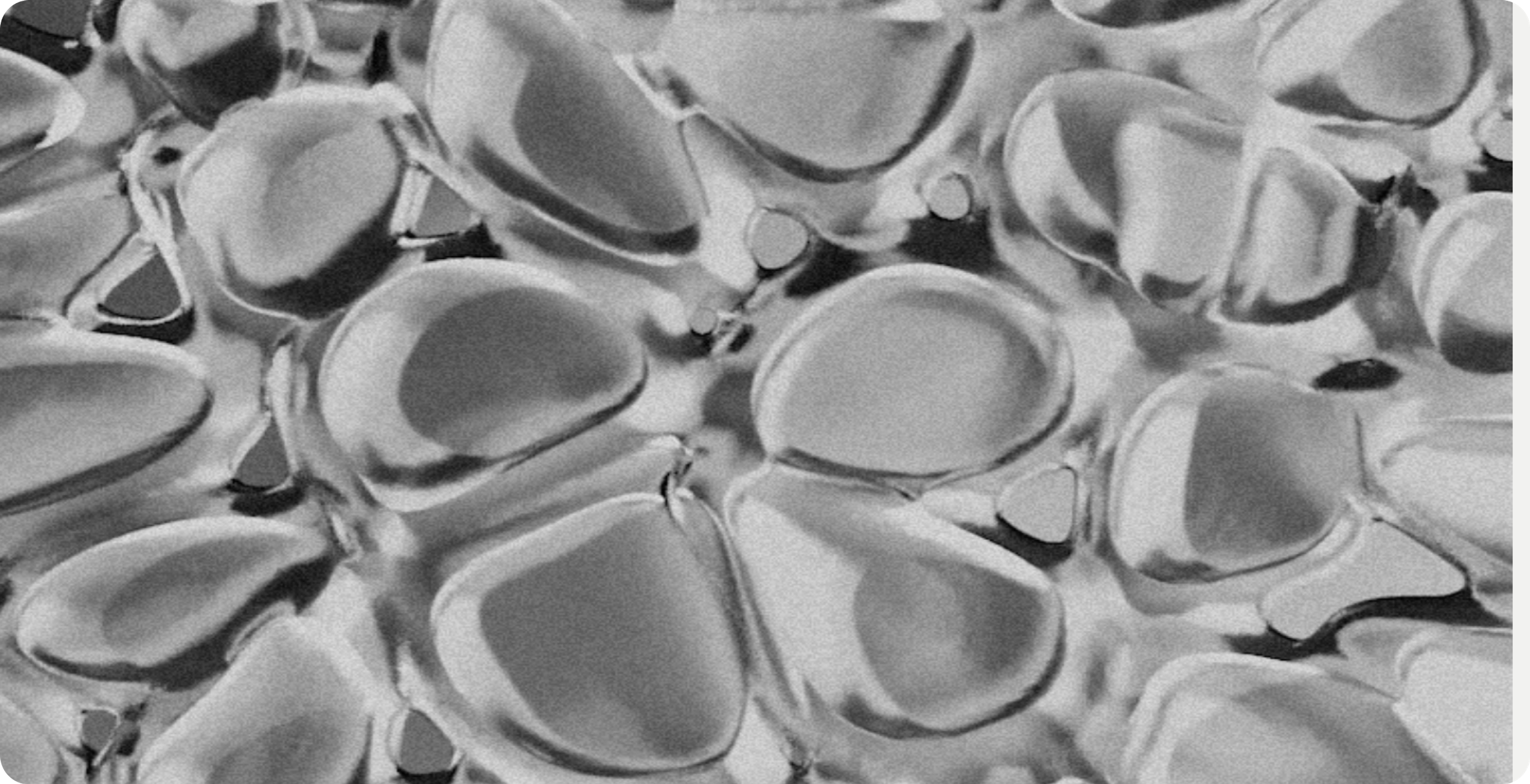 Cell communication