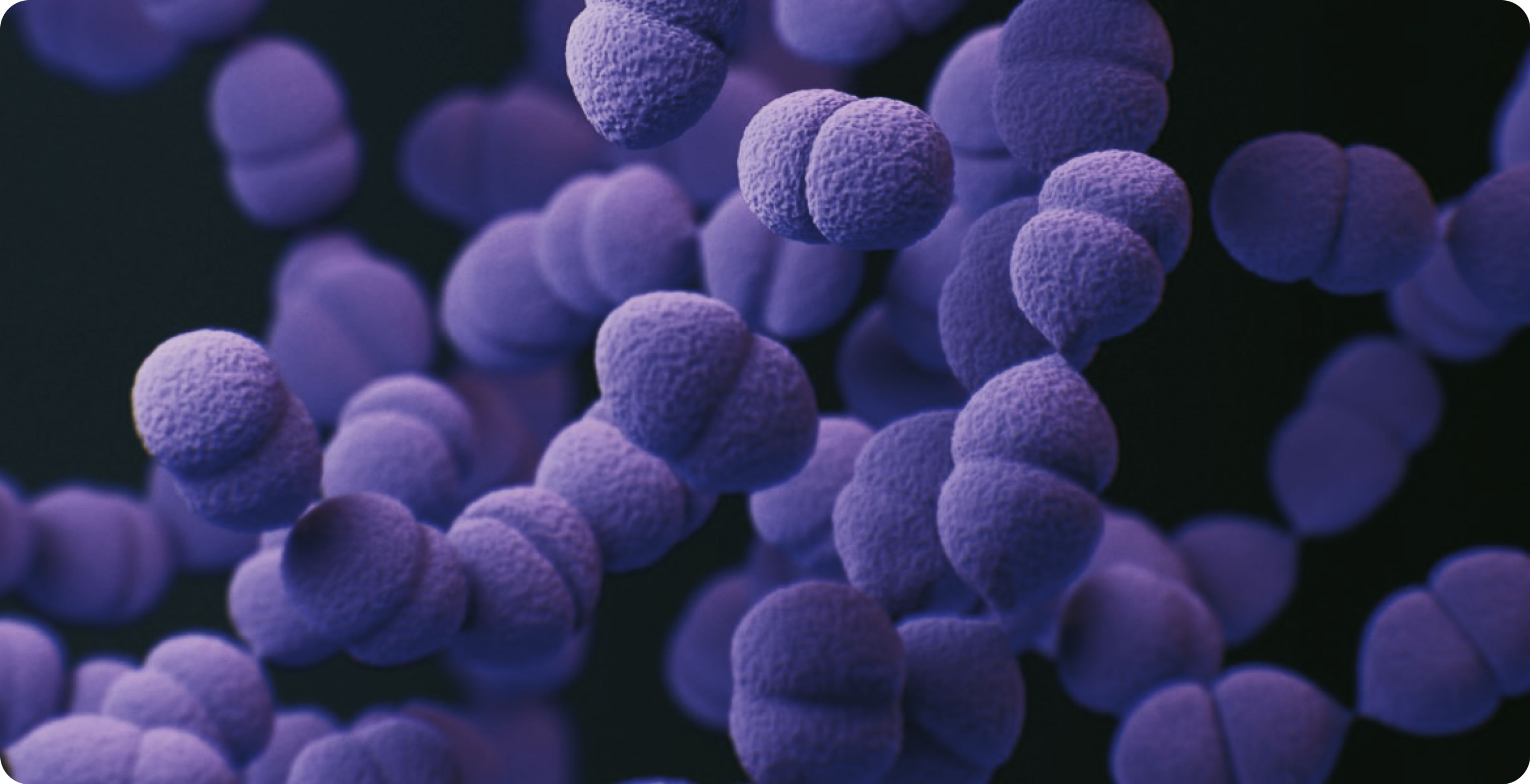 Gut microbiome