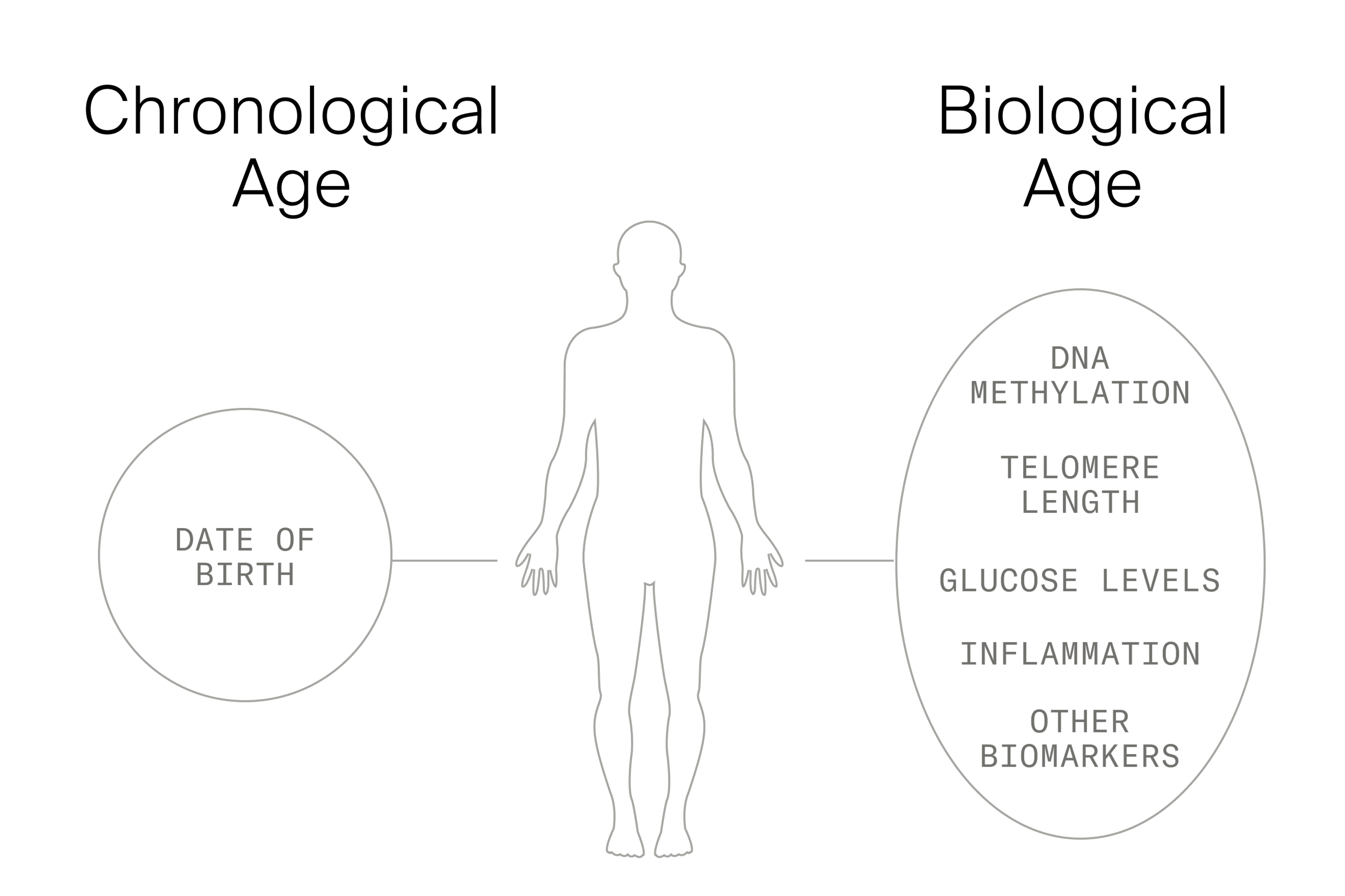 Biological Age vs Chronological Age