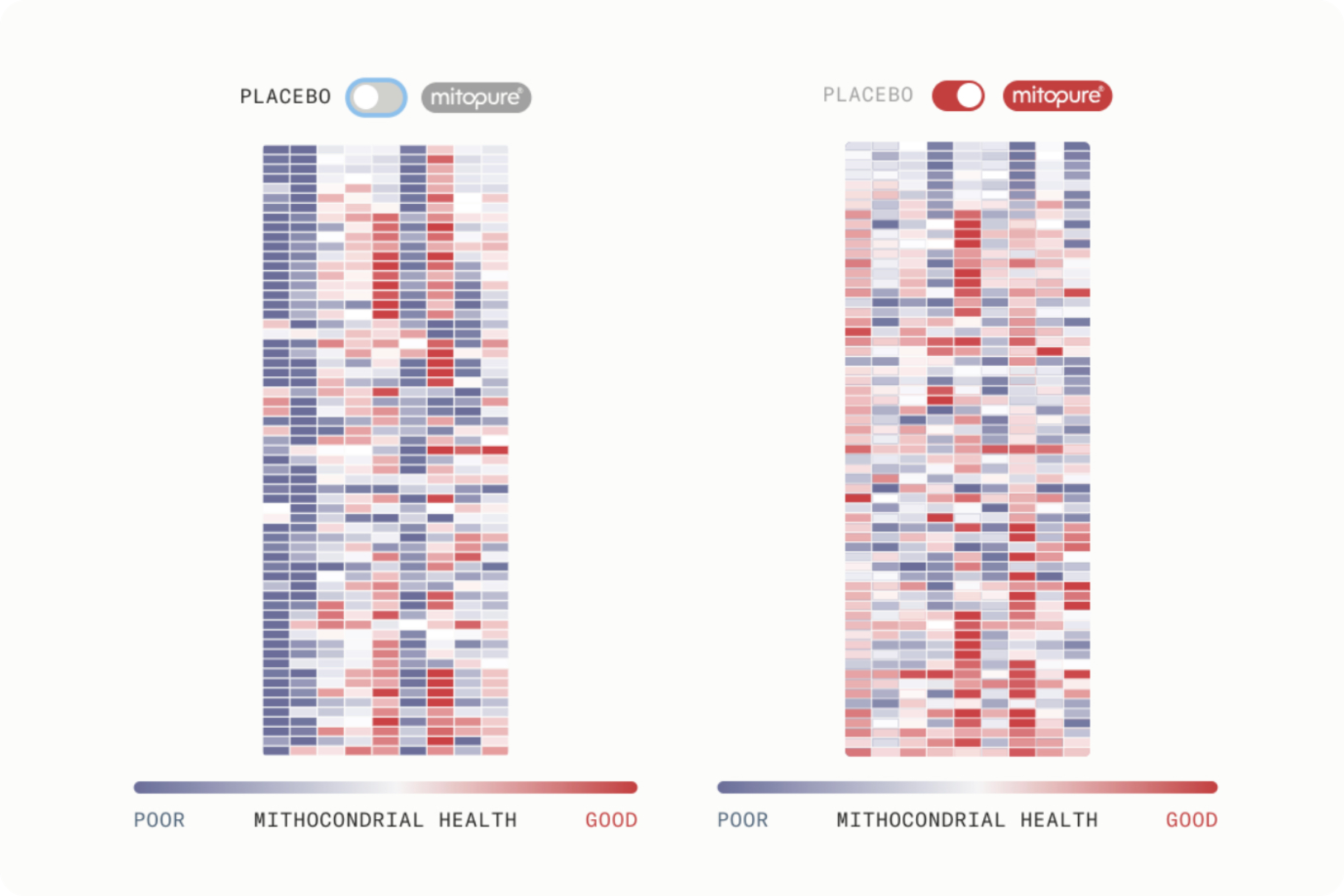 Placebo vs Mitopure