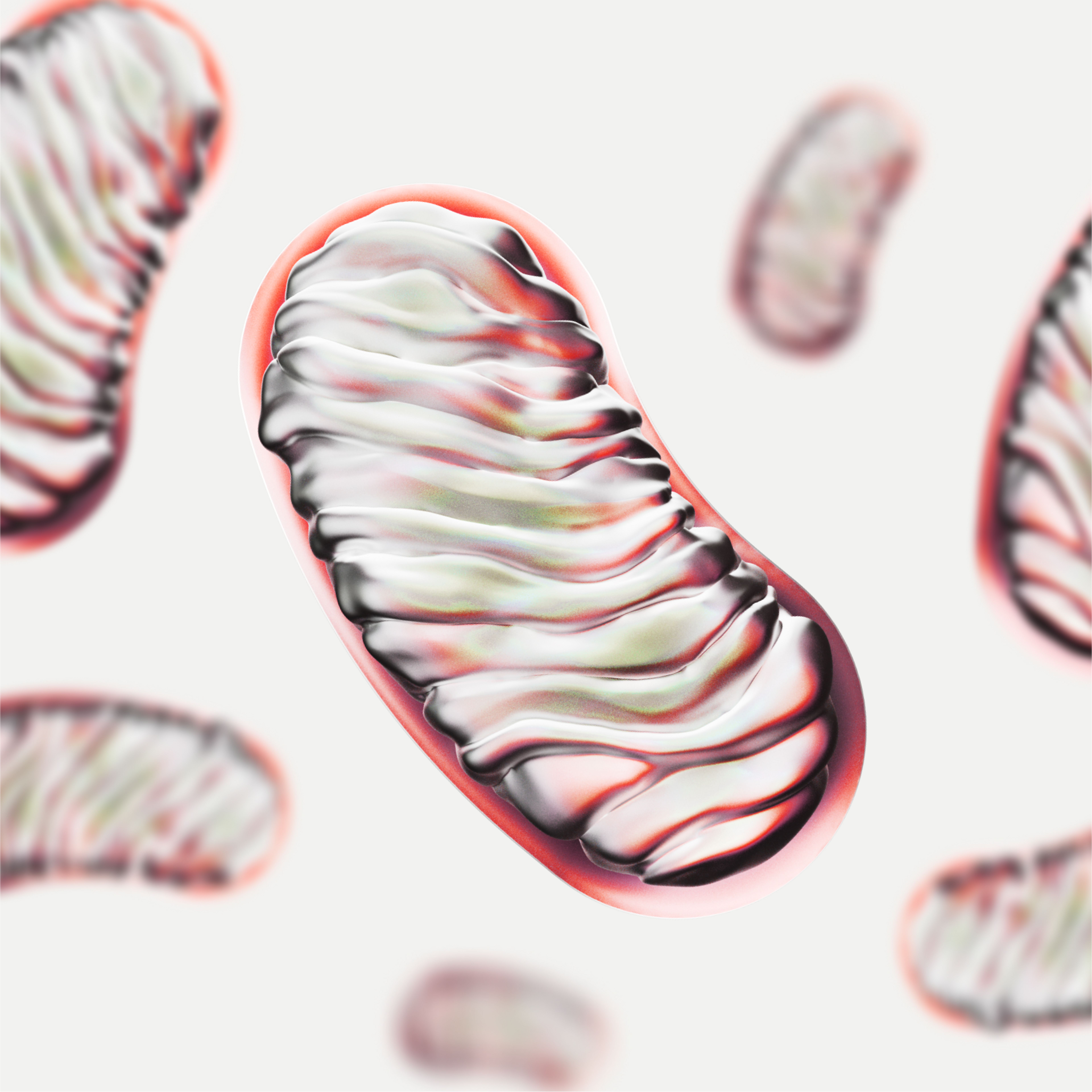 Mitochondrial biogenesis