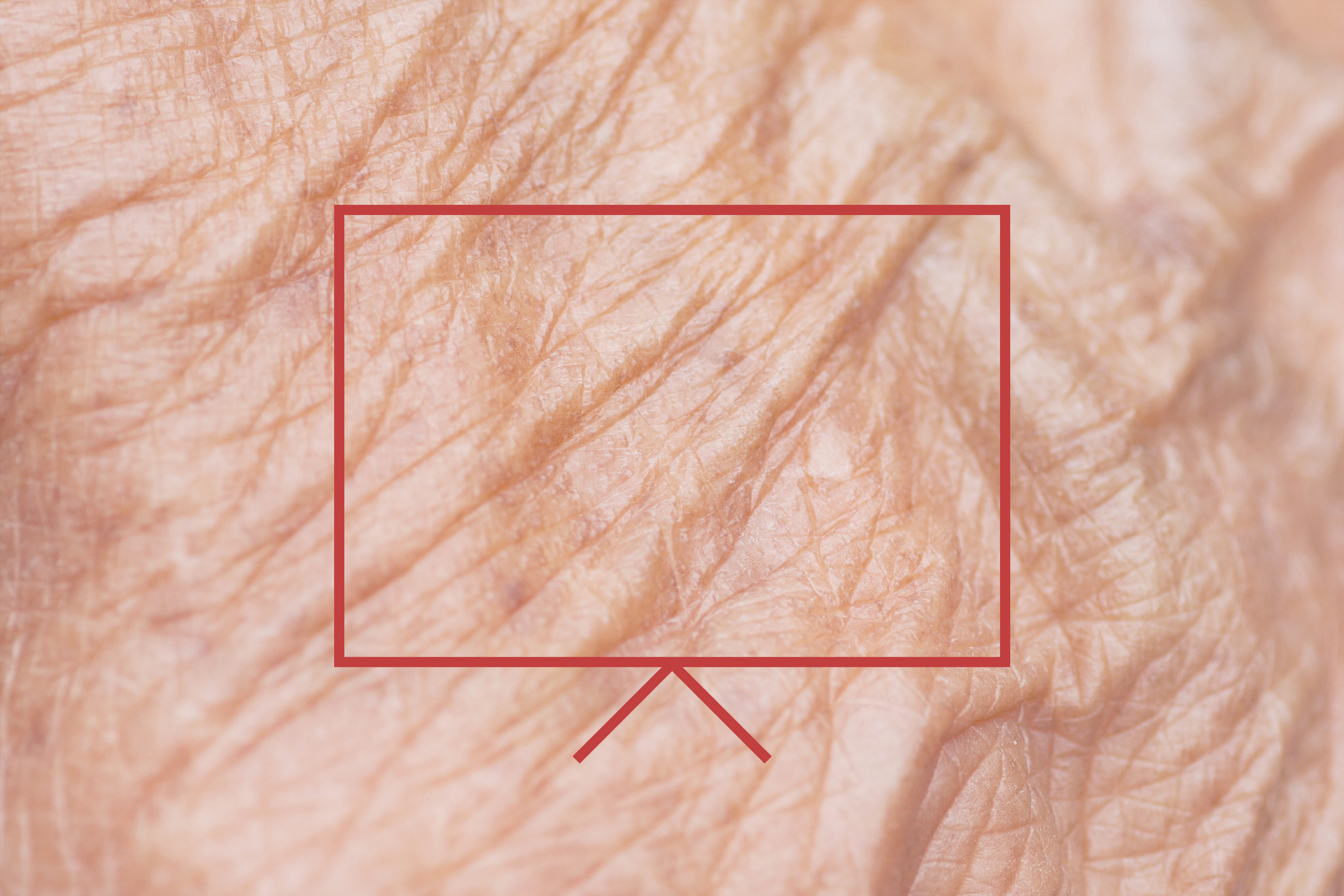 Undoing Aging conference: key take aways for 2019