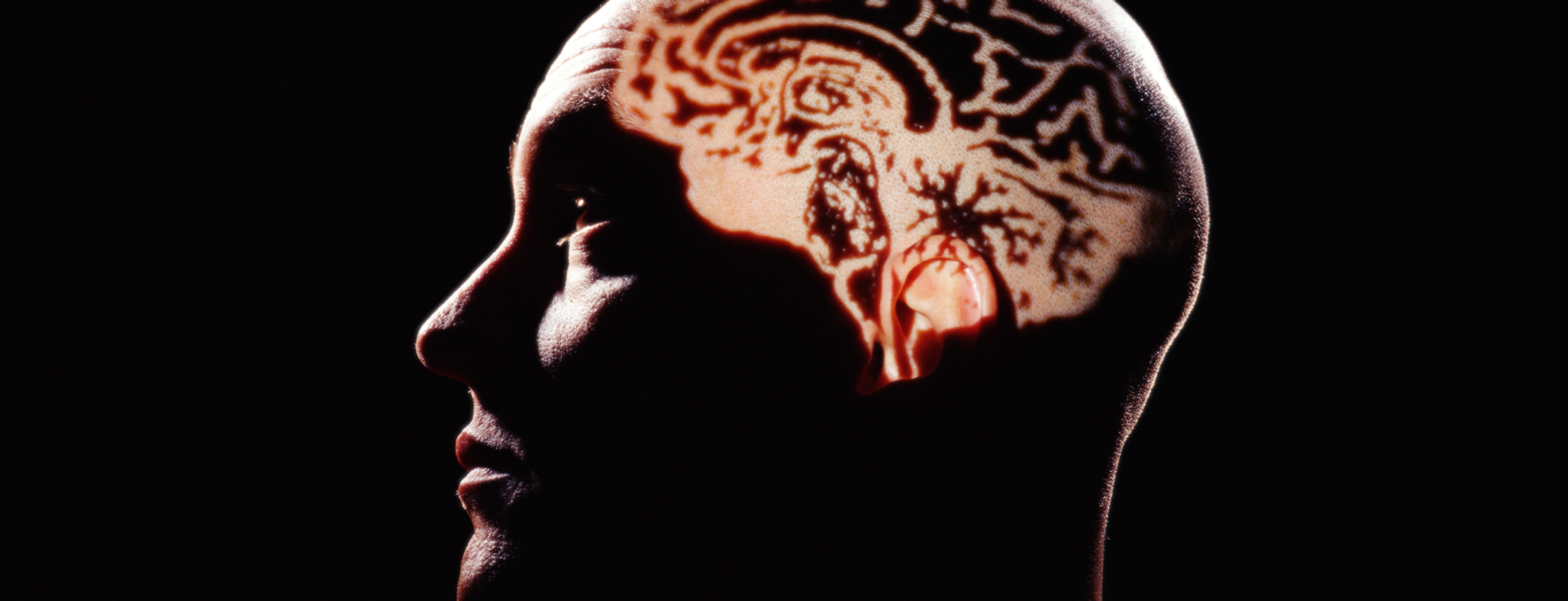 Brain illustration projected on a persons head