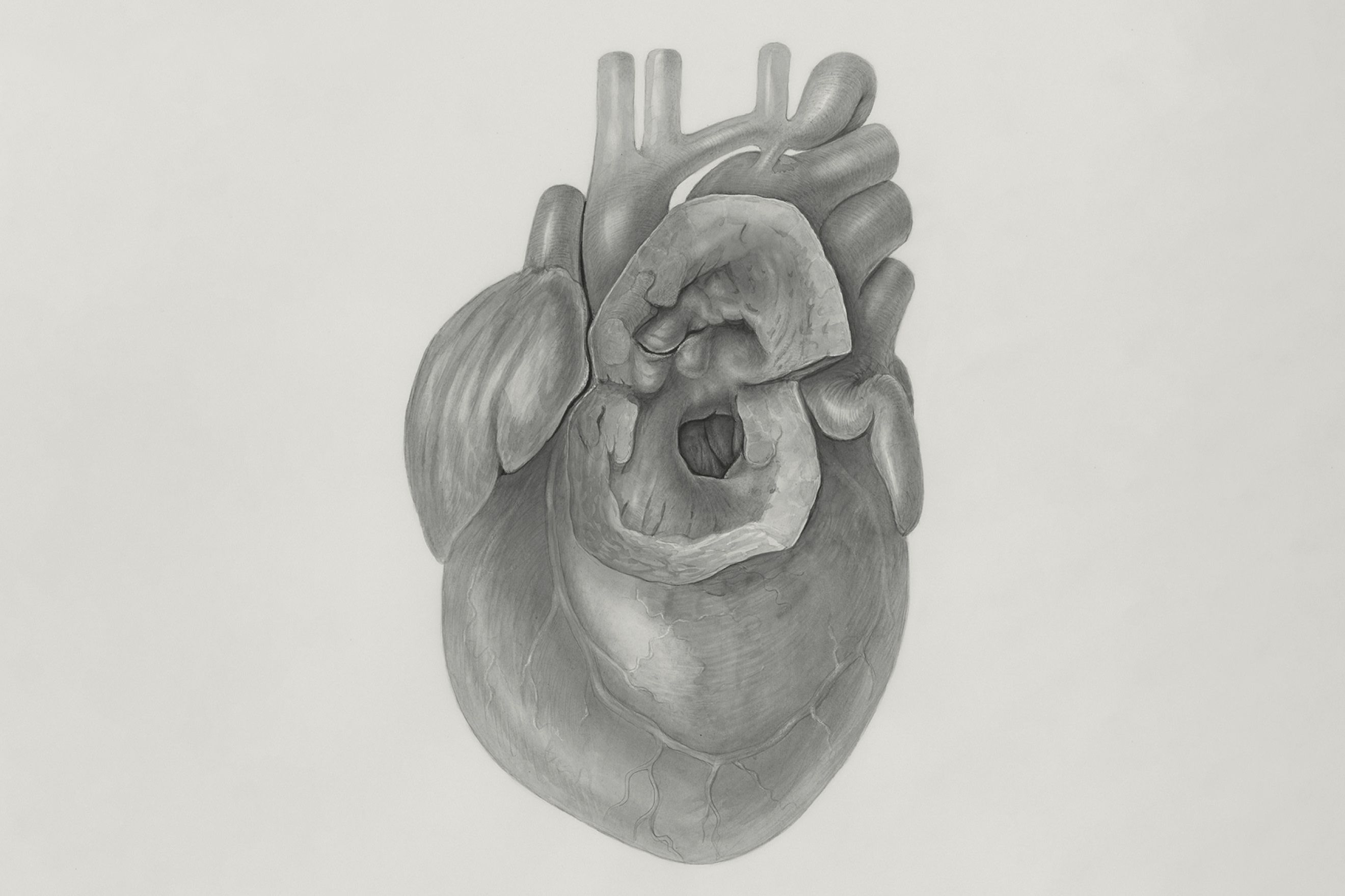Heart