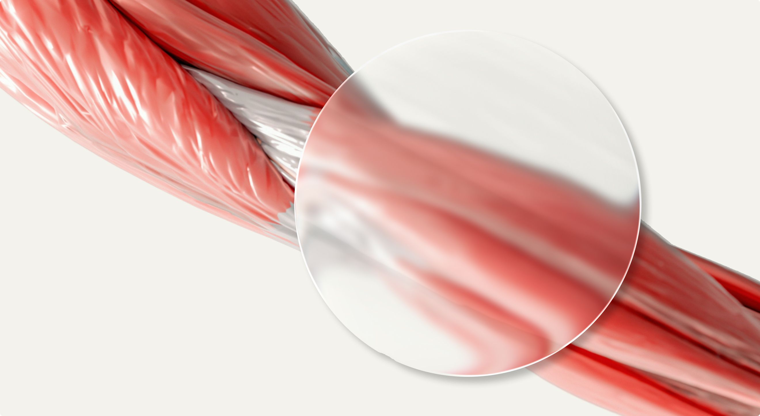 What Is the Difference Between Muscle Mass, Muscle Strength and Muscle Quality?