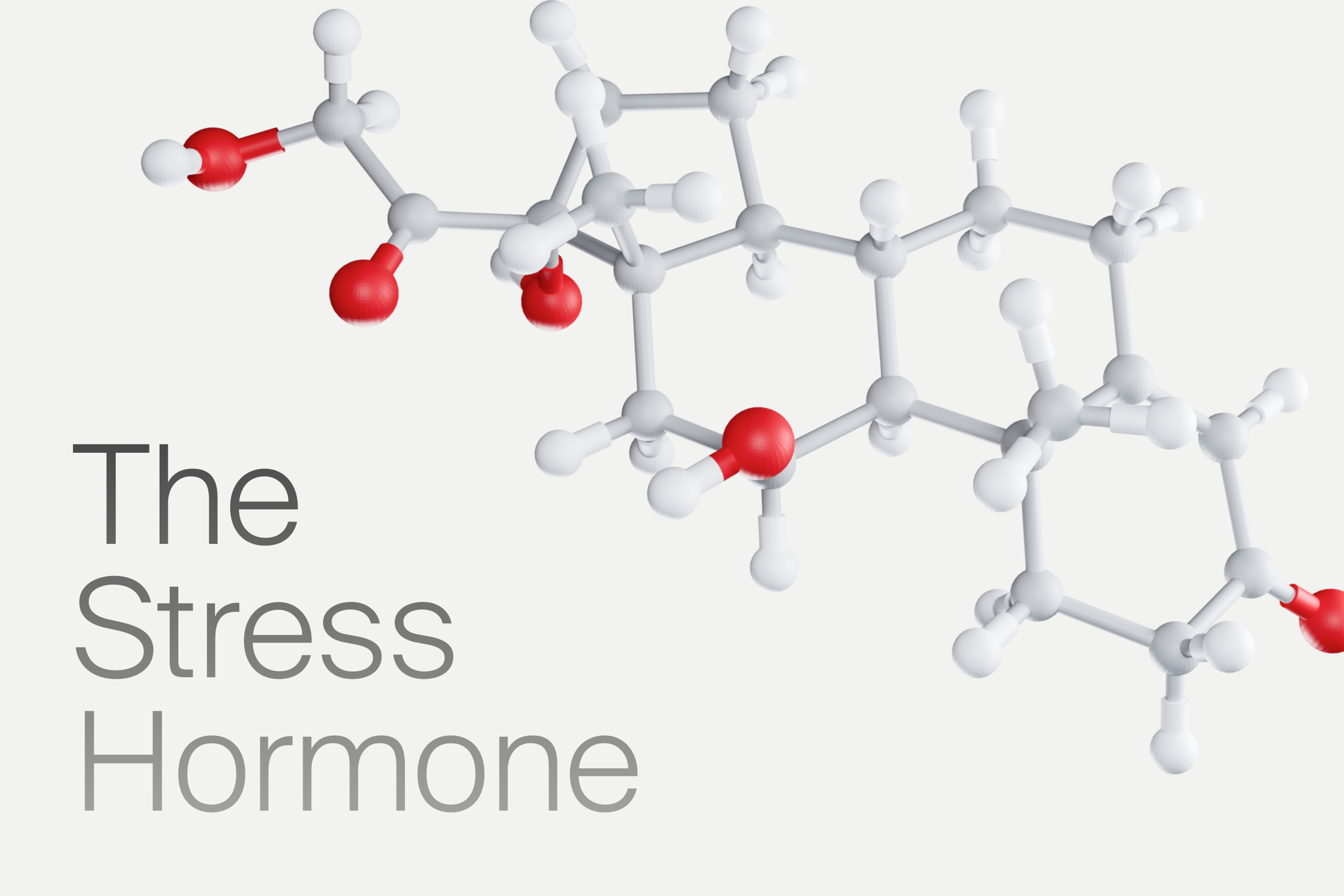Cortisol