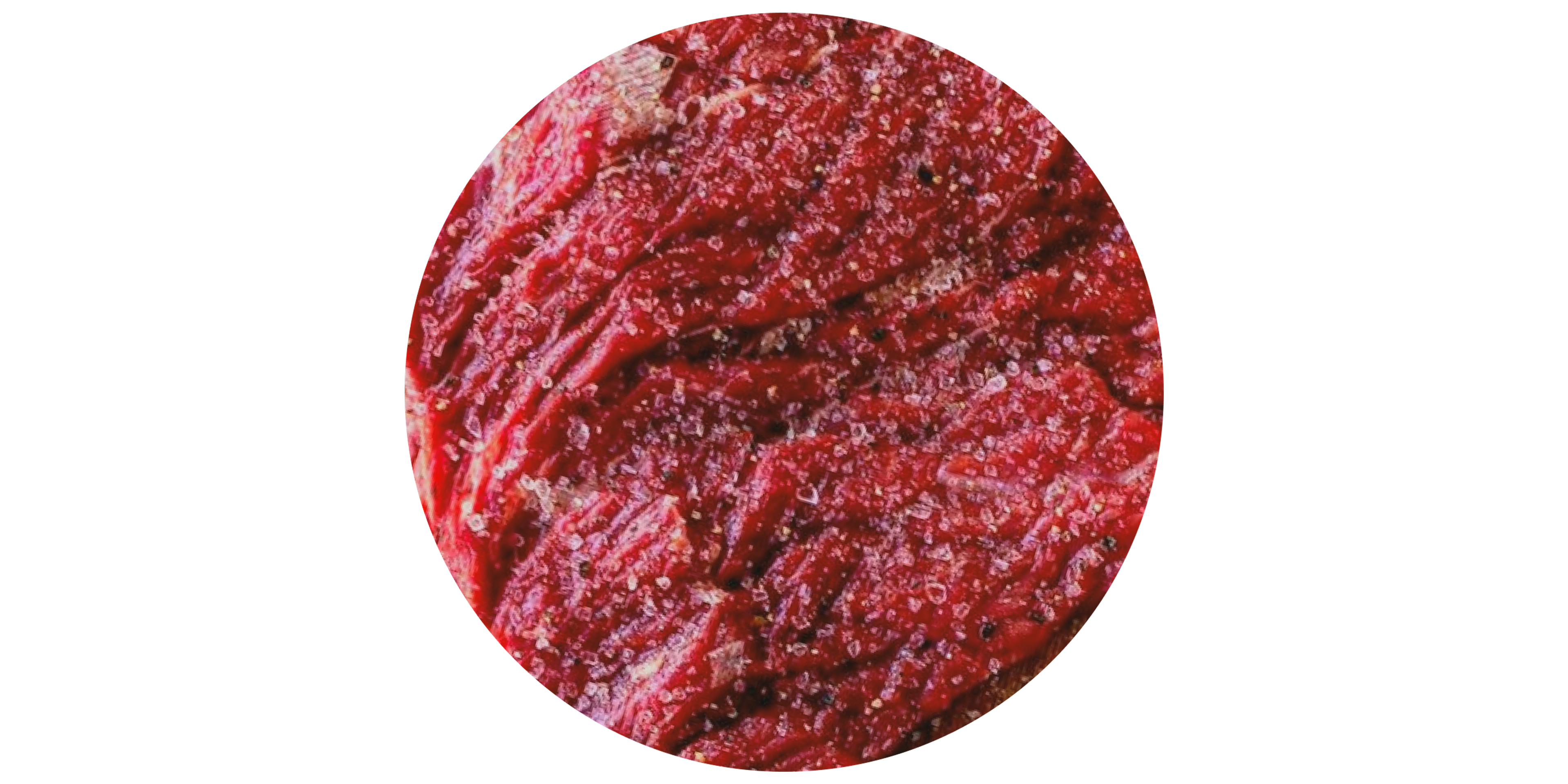 Carnivore Diet