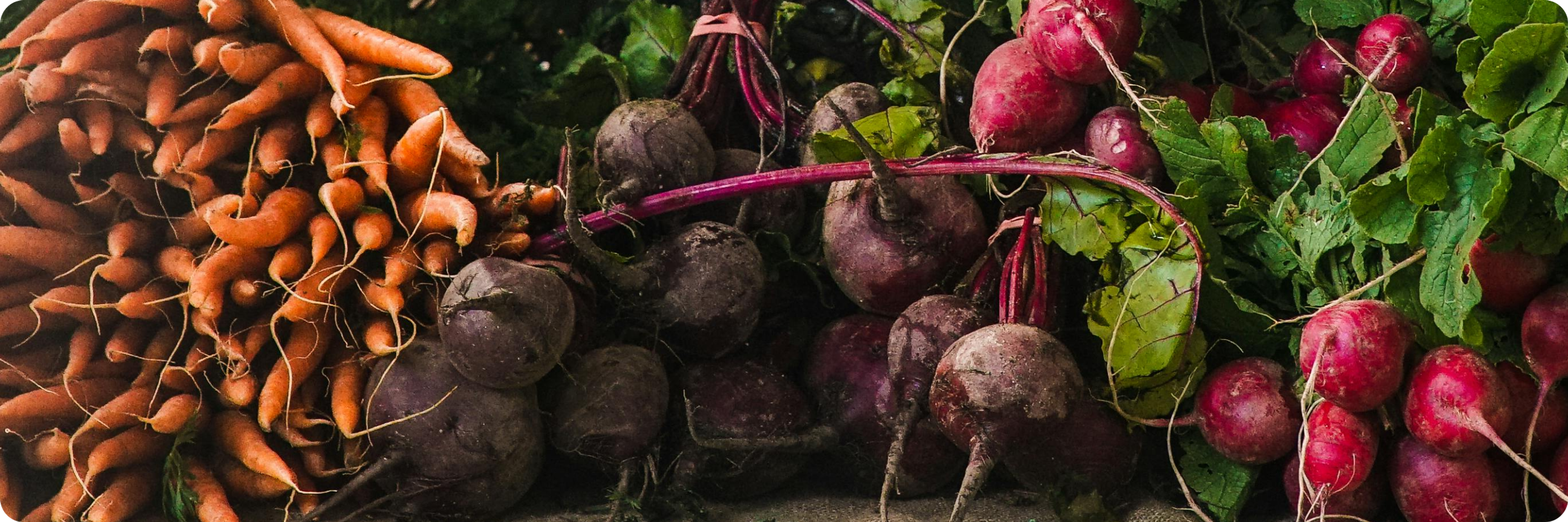 Root vegetables