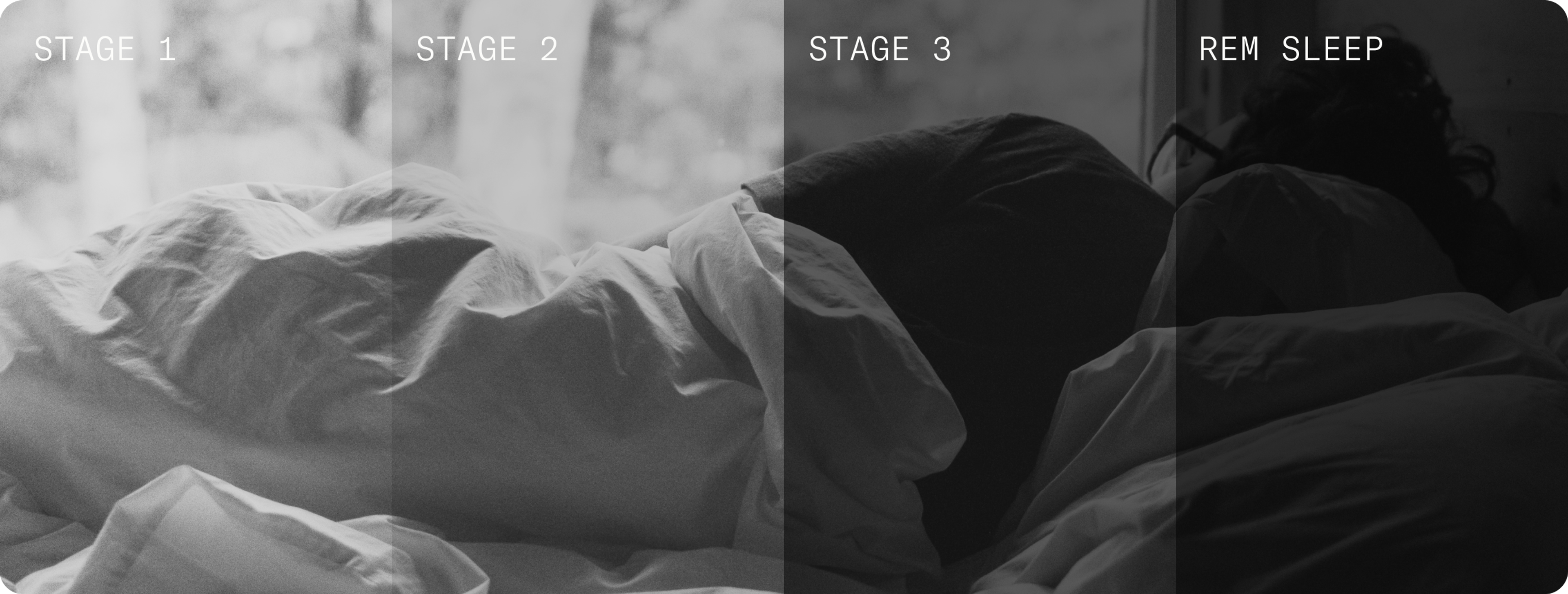 Phases os Sleep