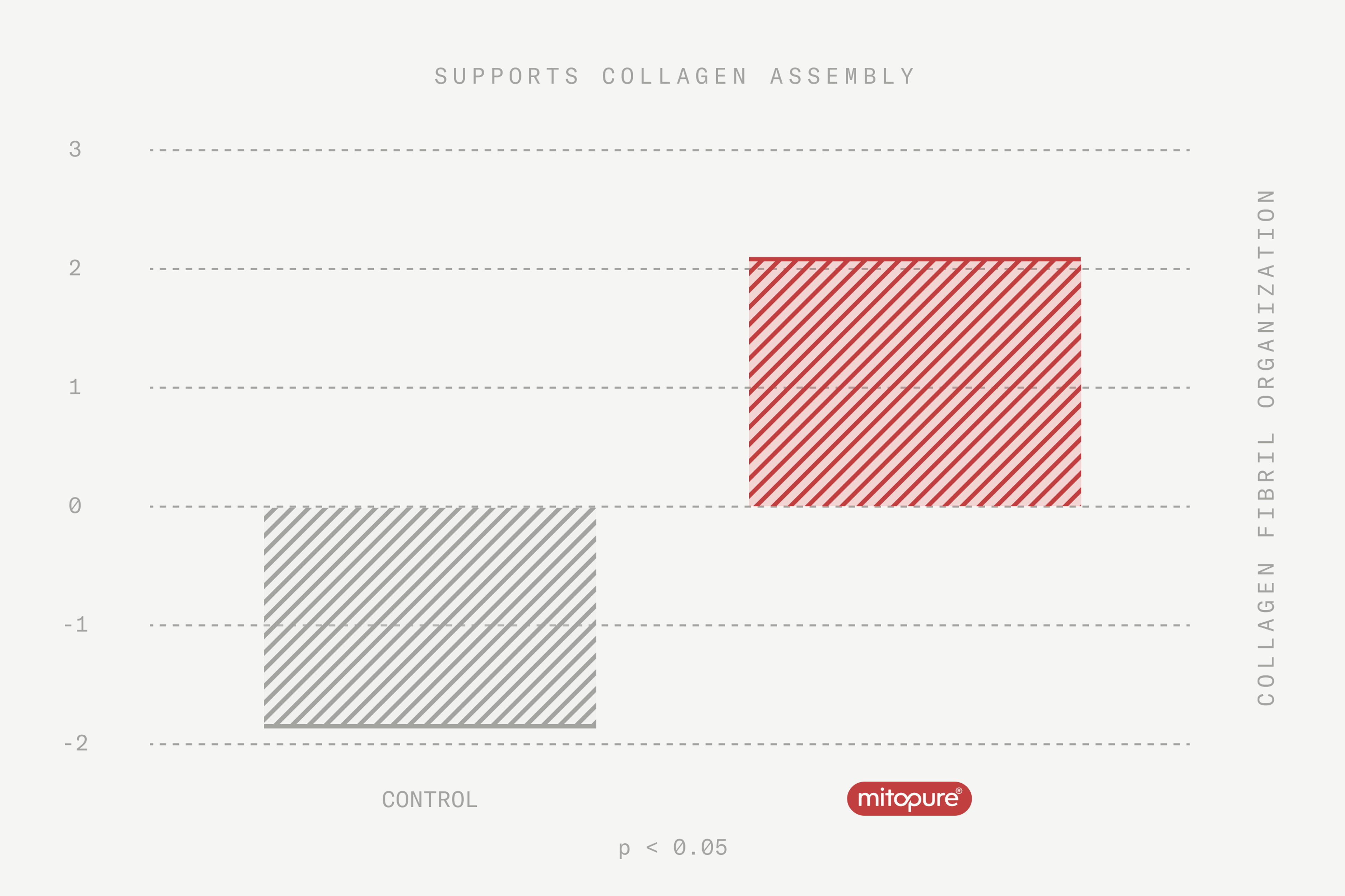 Collagen Assembly