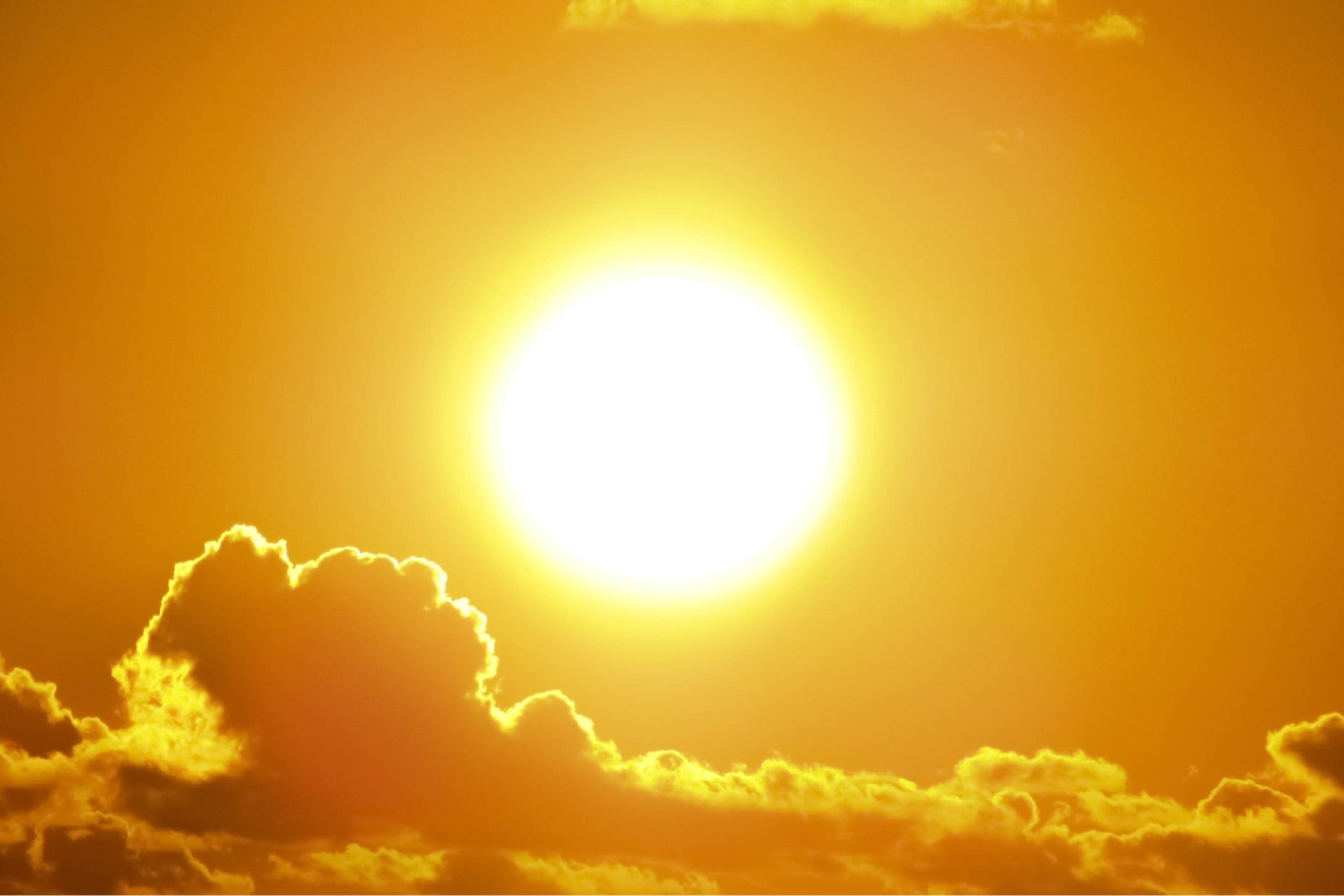 2. Provides Extra Protection From Summer Rays