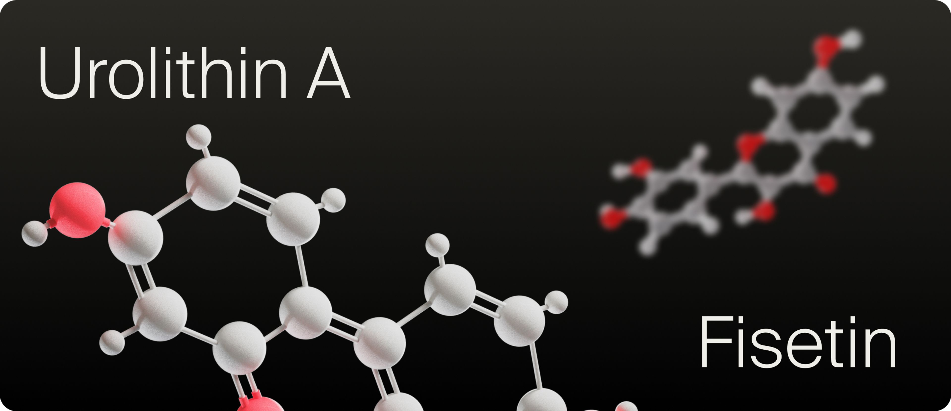 UA vs Fisetin