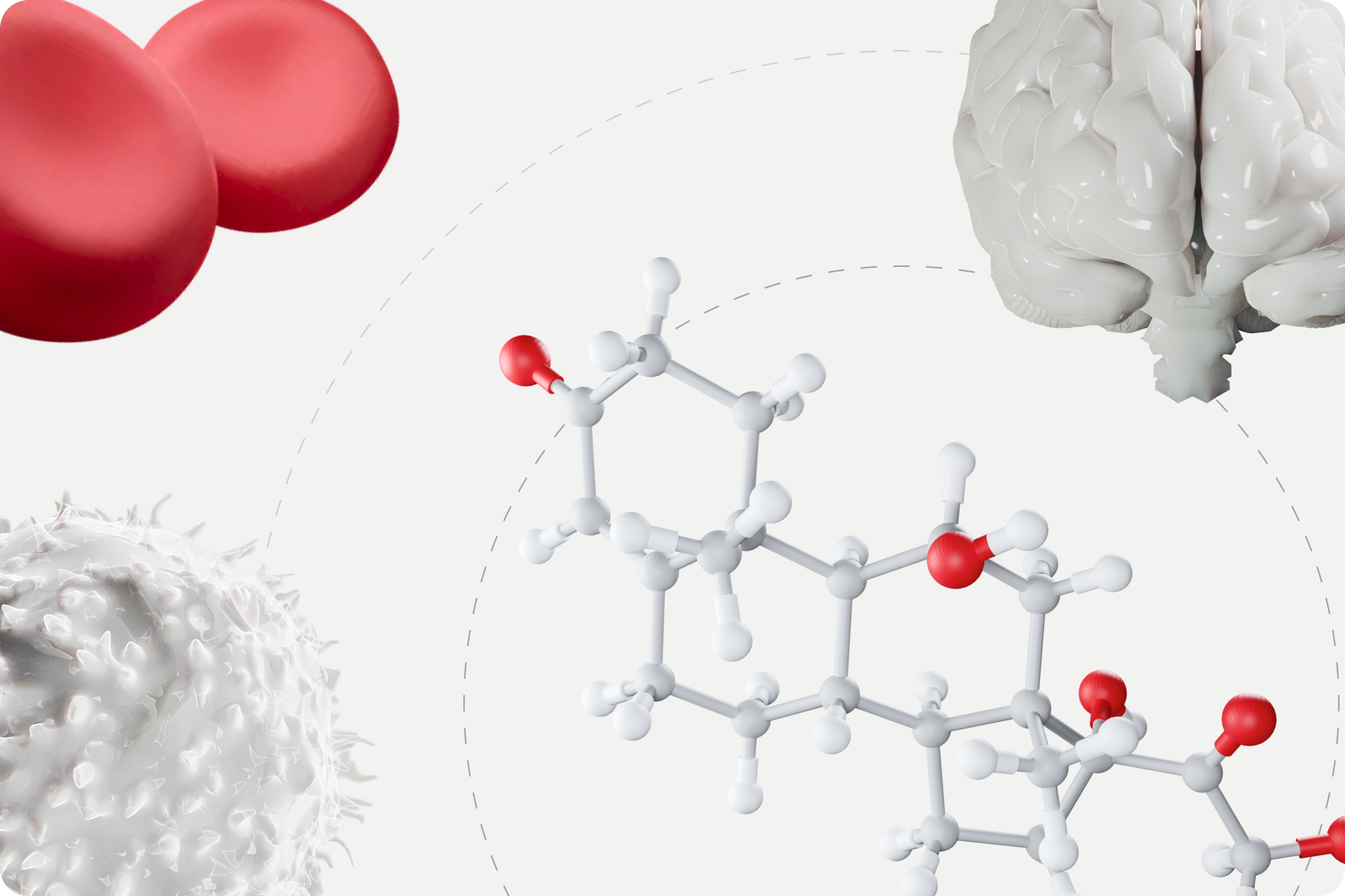 Cortisol Hormone