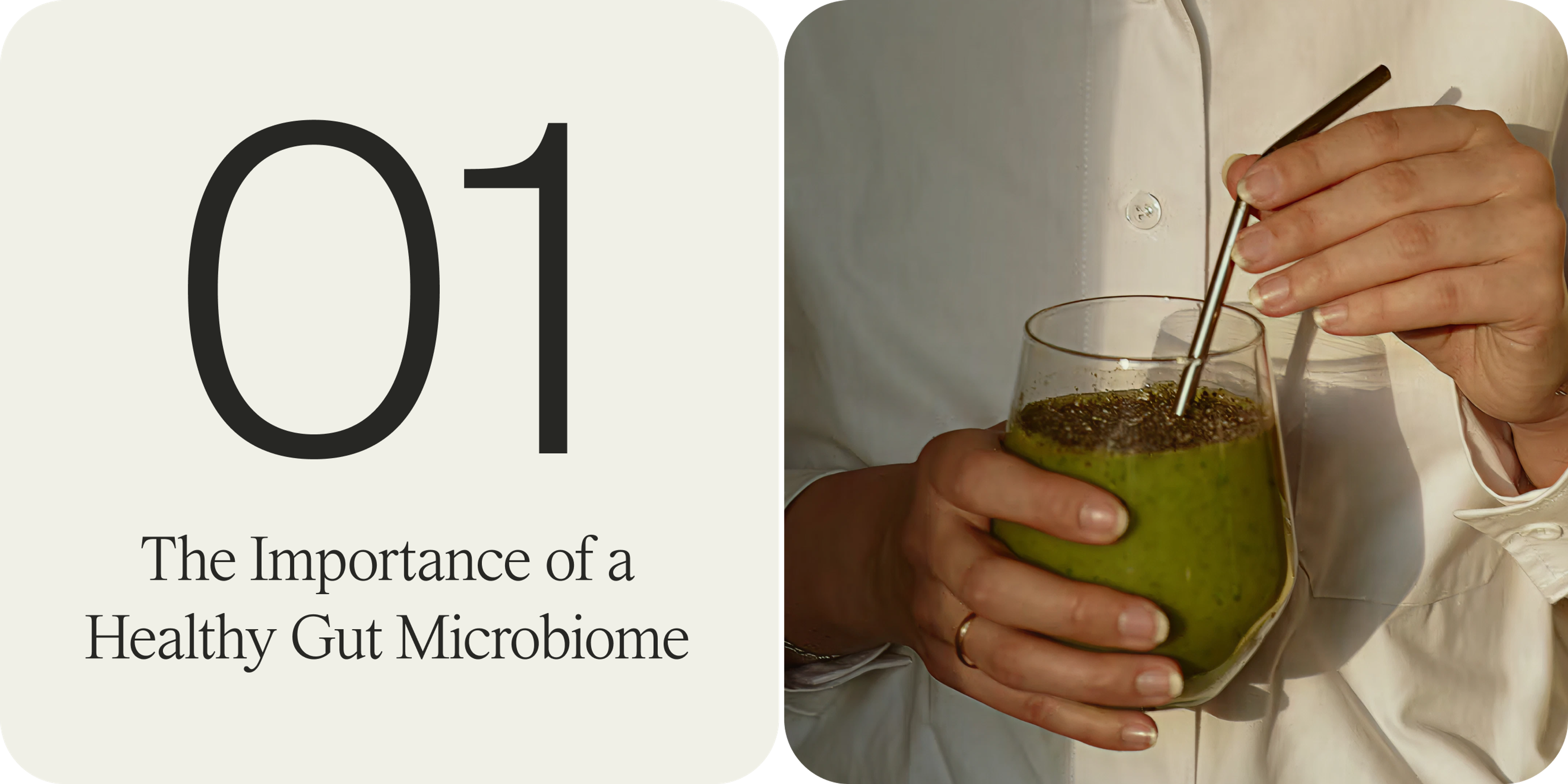 the importance of a healthy gut microbiome
