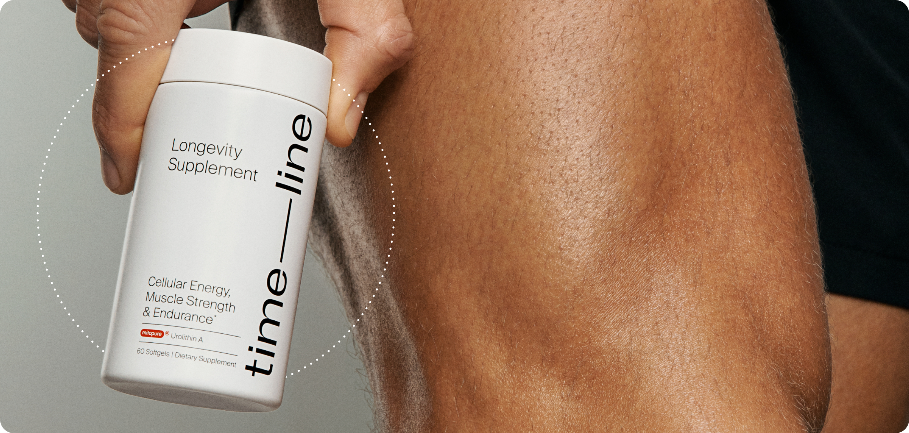 timeline supplement