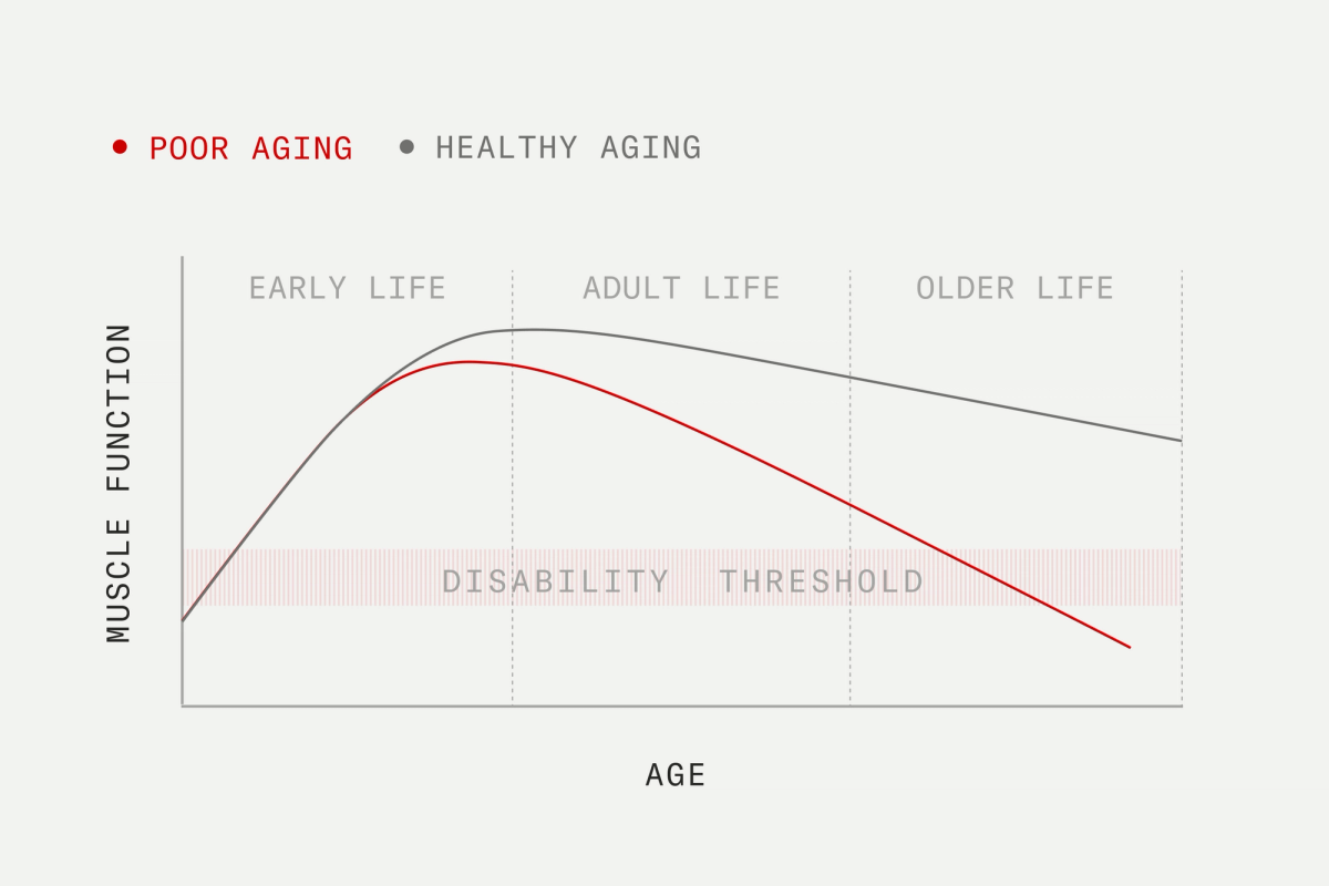Healthspan vs. lifespan: two ways to measure longevity - Timeline