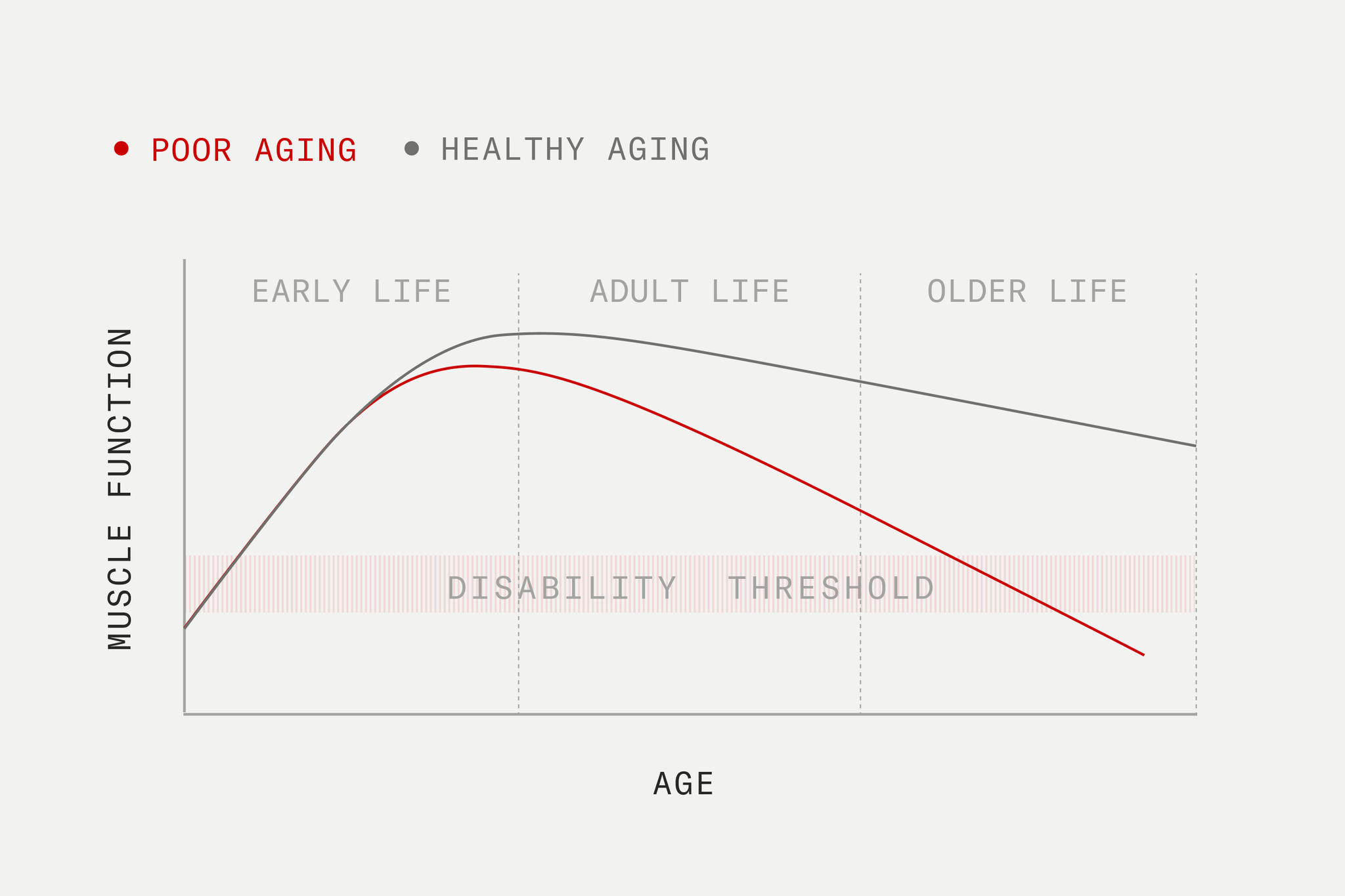 Healthspan vs. lifespan: two different ways to measure longevity - Timeline