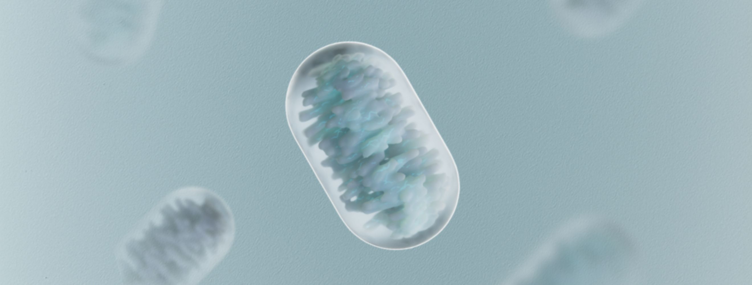 mitochondria and aging