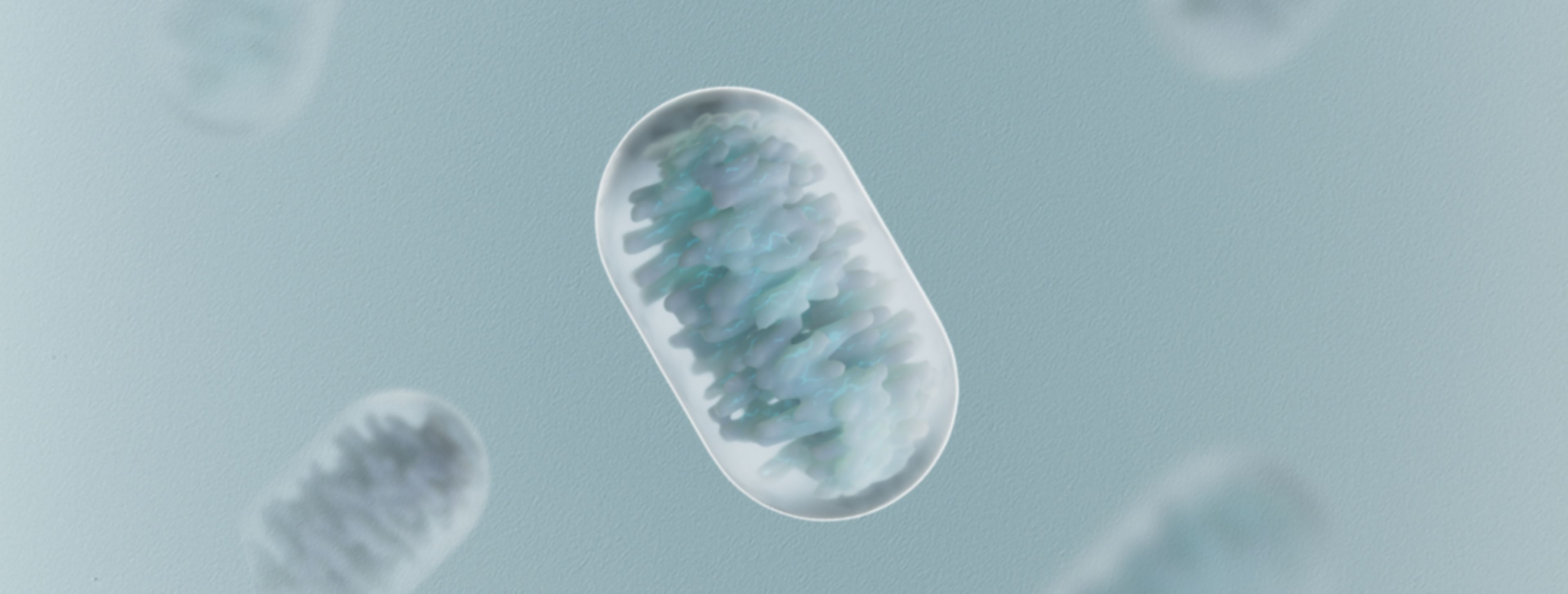 mitochondria and aging