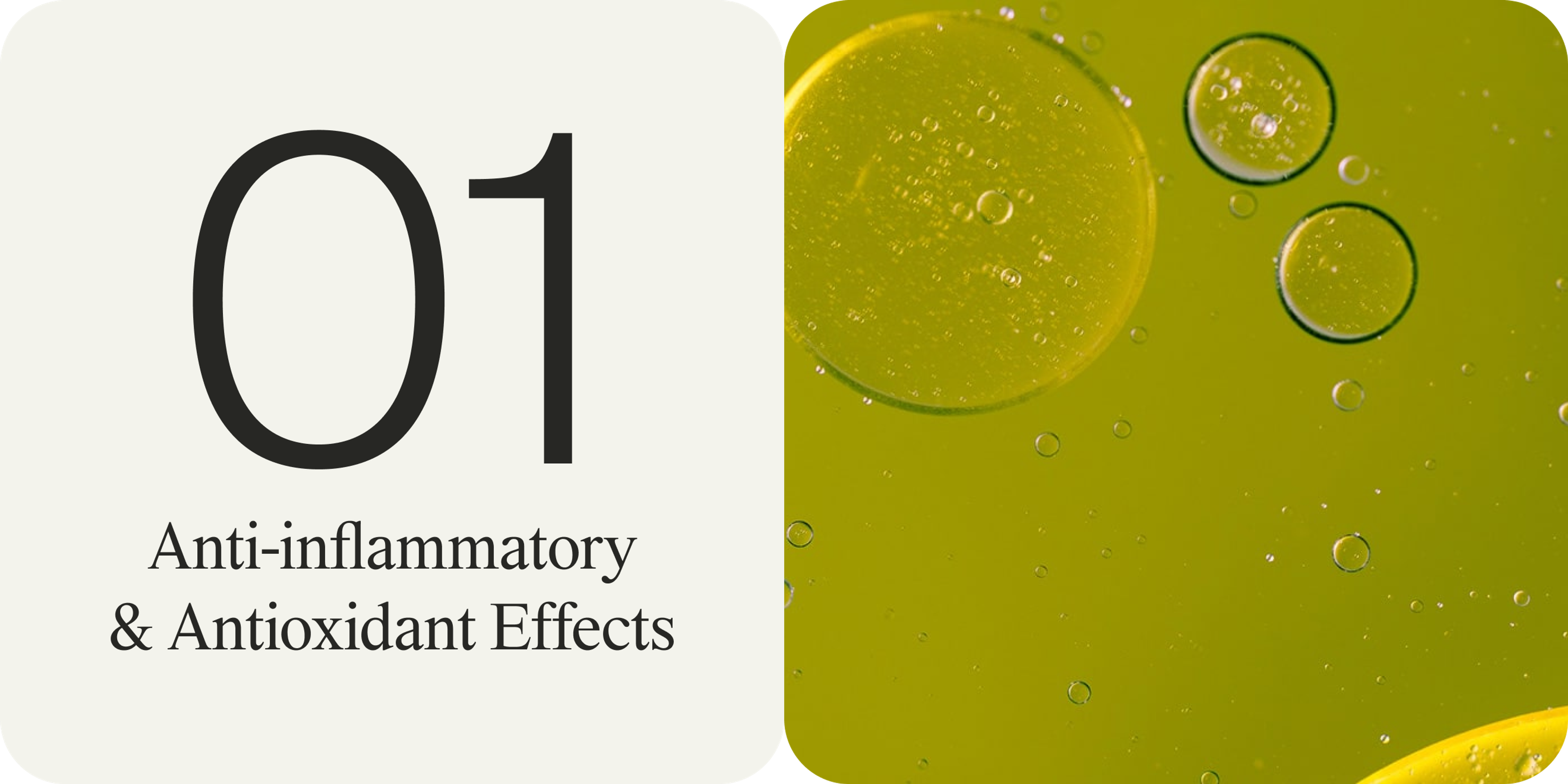 Anti-inflammatory and antioxidant effects