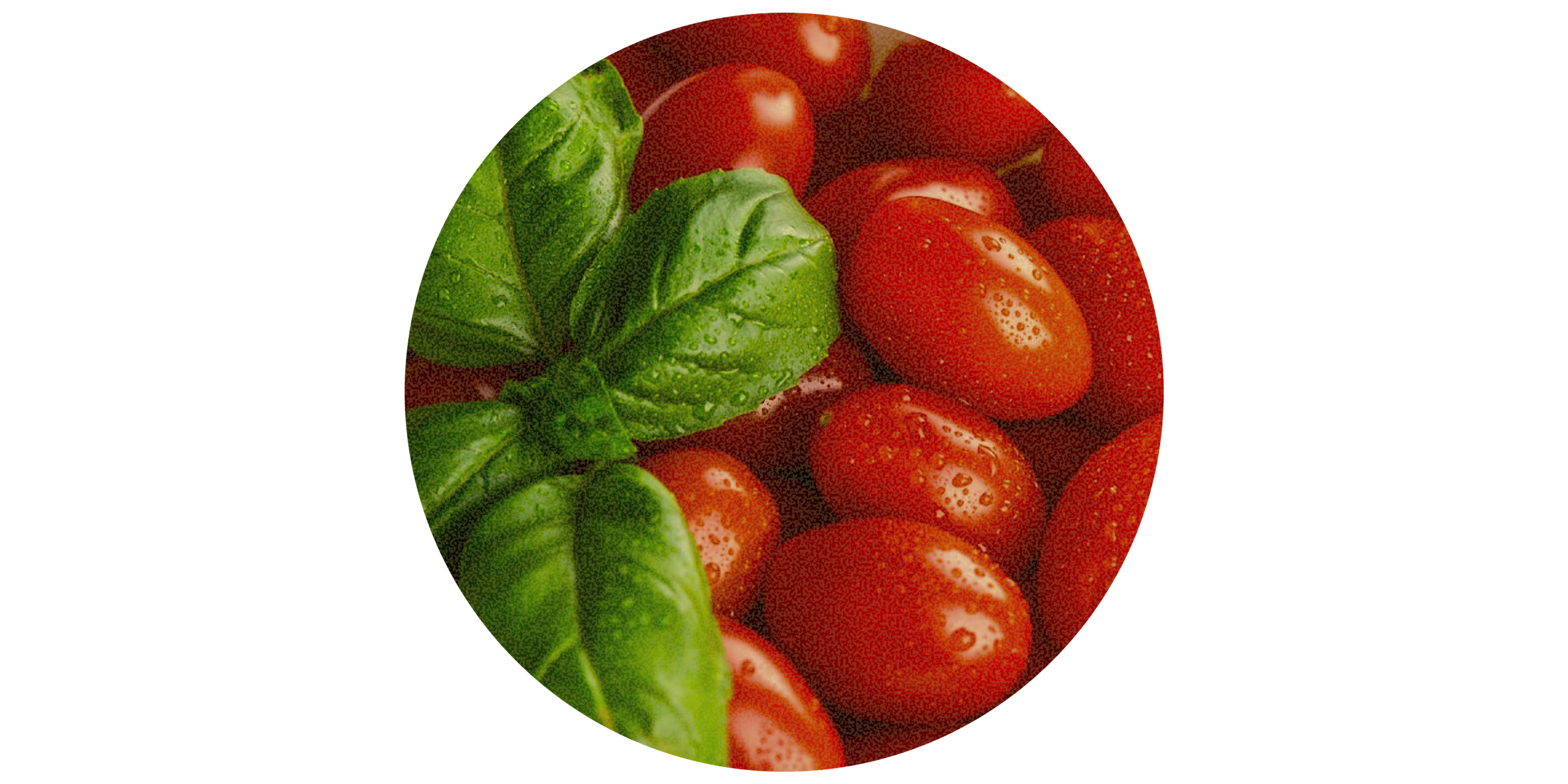 Mediterranean Diet