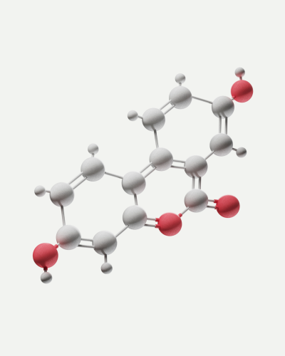 Mitopure molecule
