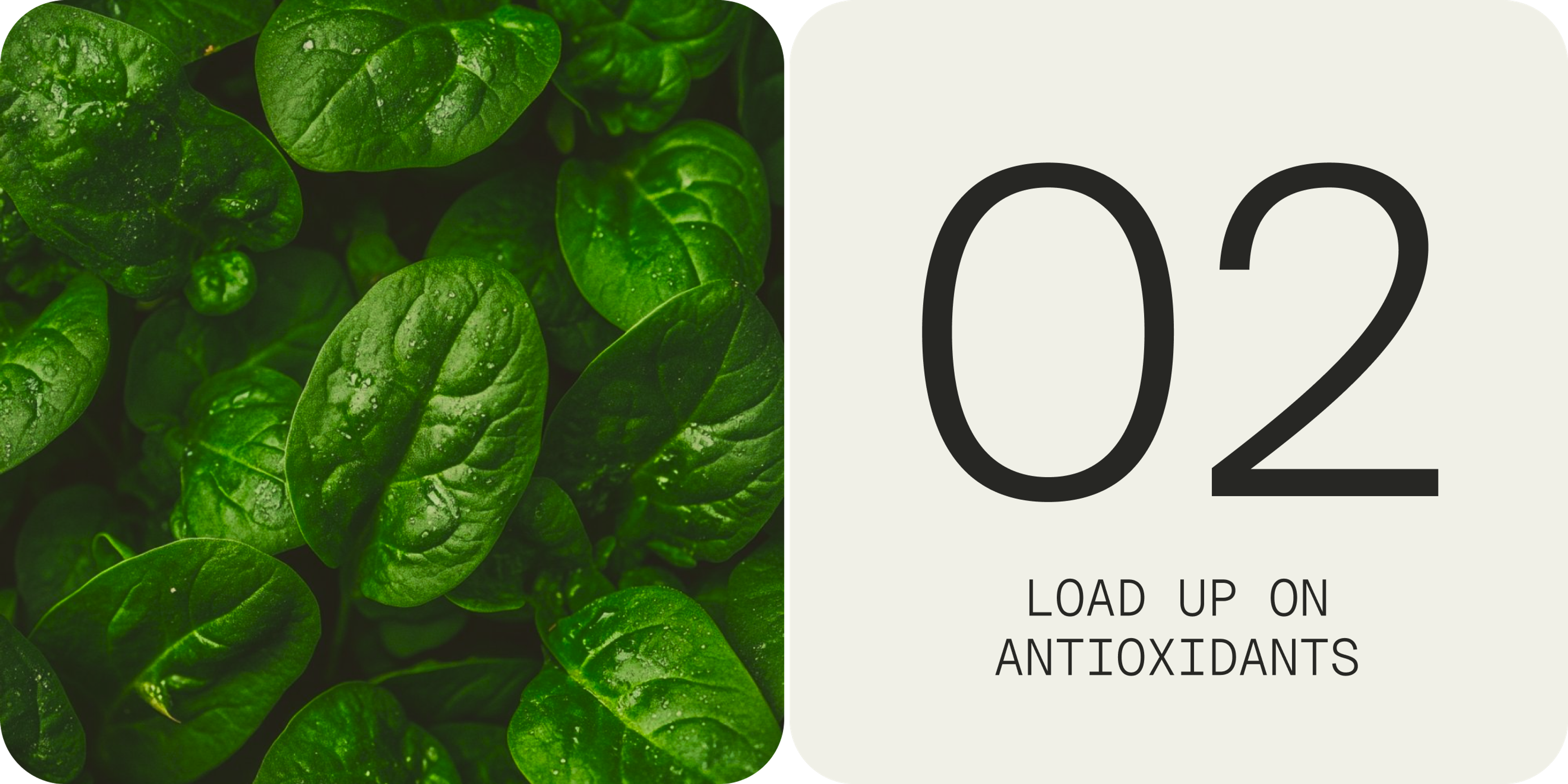 load up on antioxidants