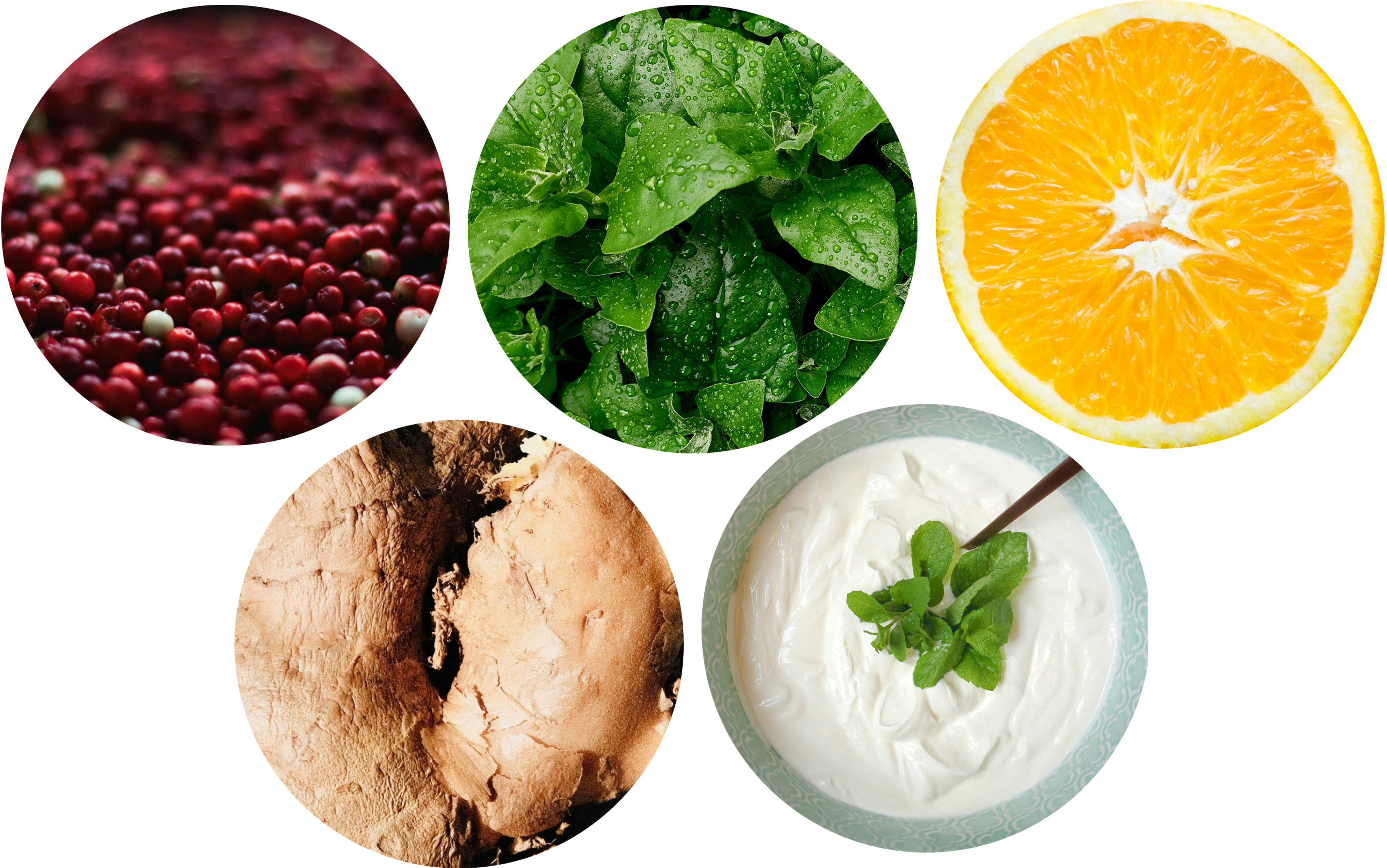 Good foods for the immune system