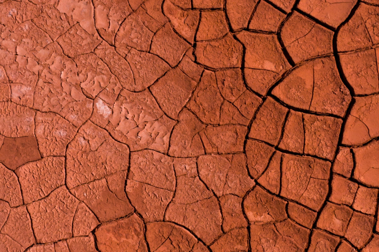 Cellular Damage: What Causes It and How to Combat It - Timeline