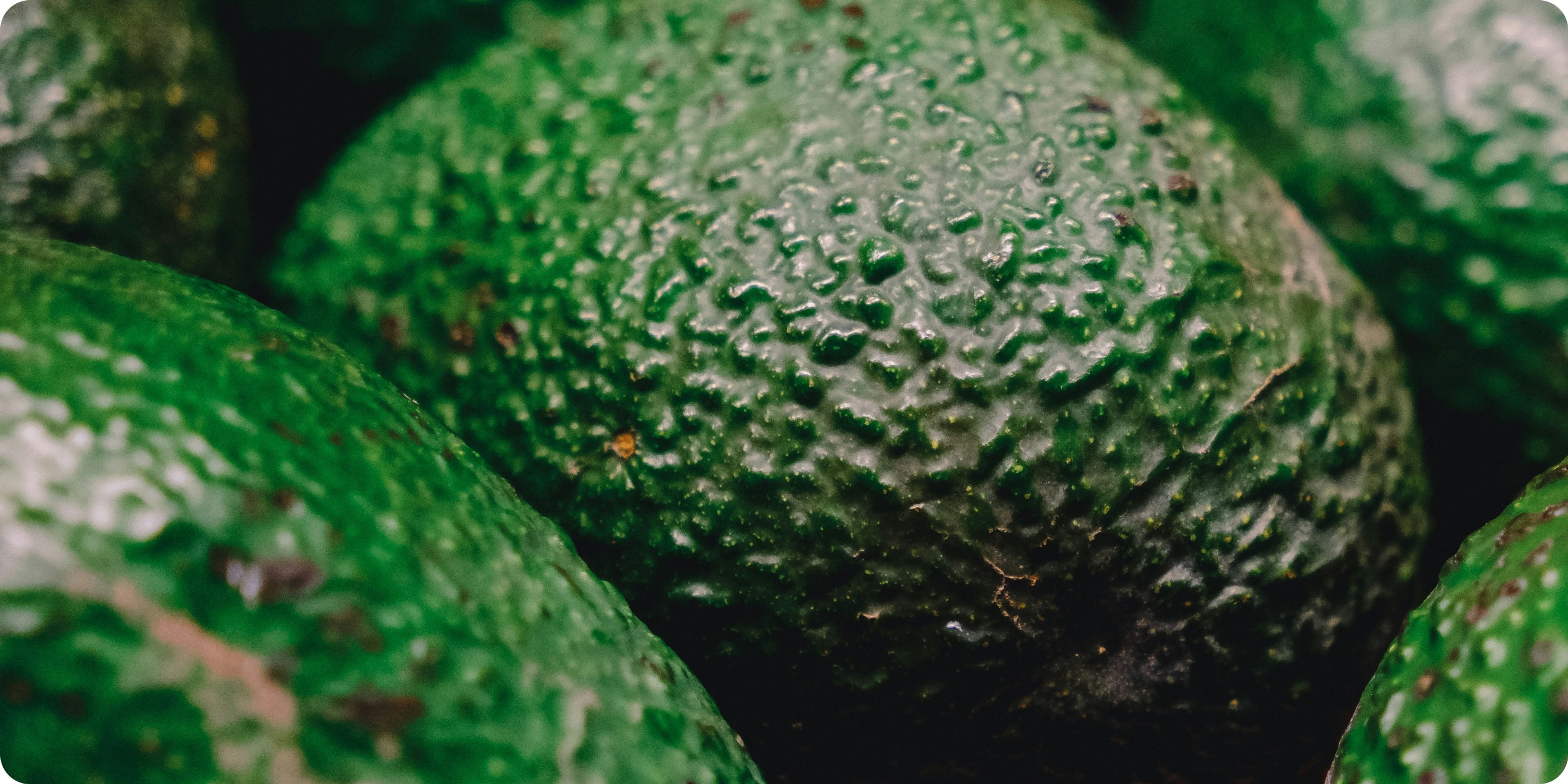 Avocado