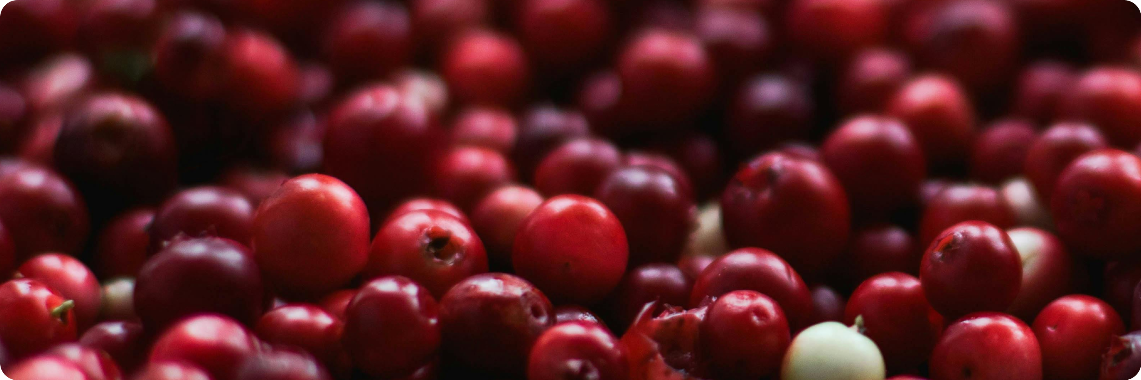 Cranberries