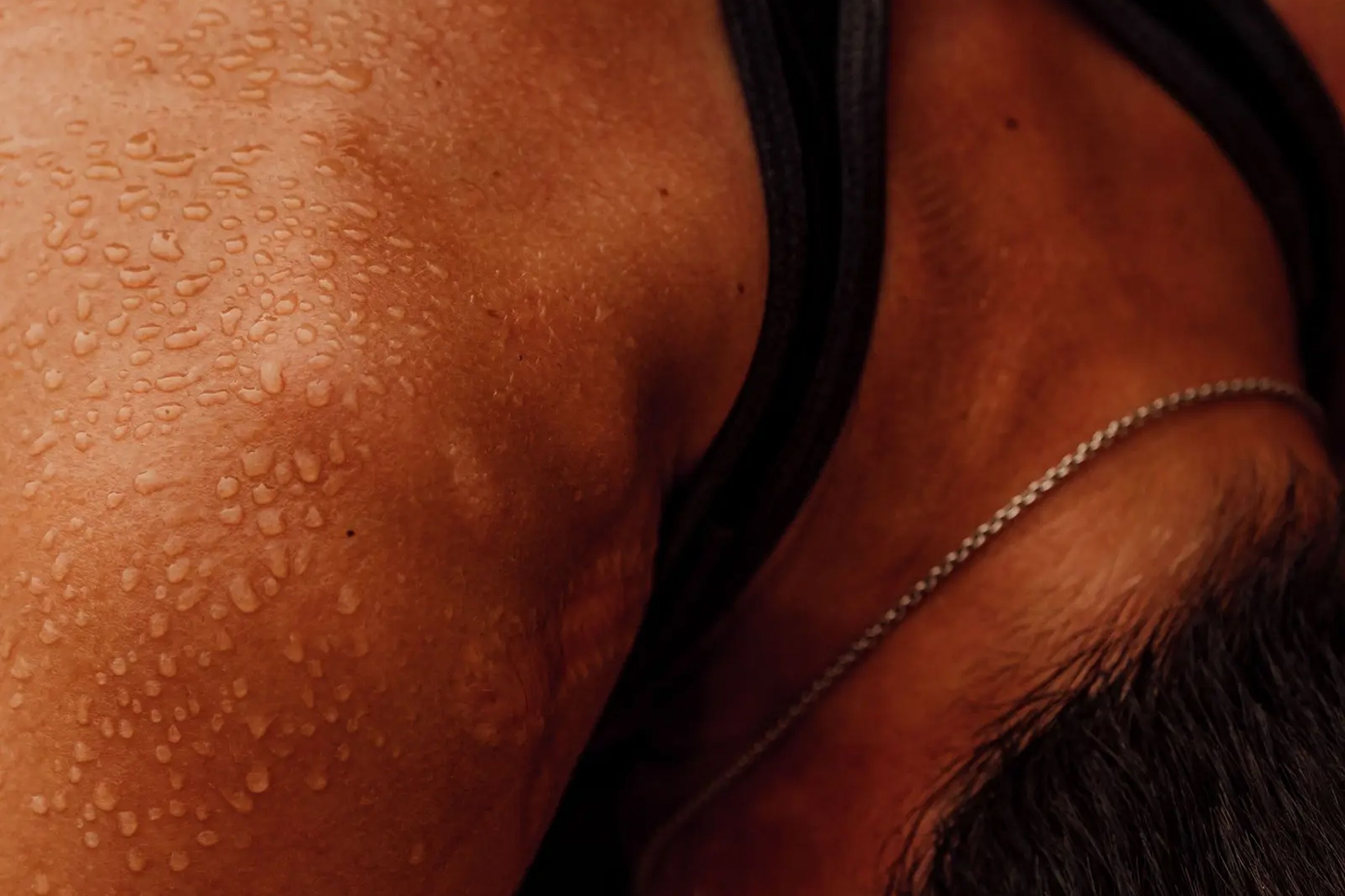 muscle