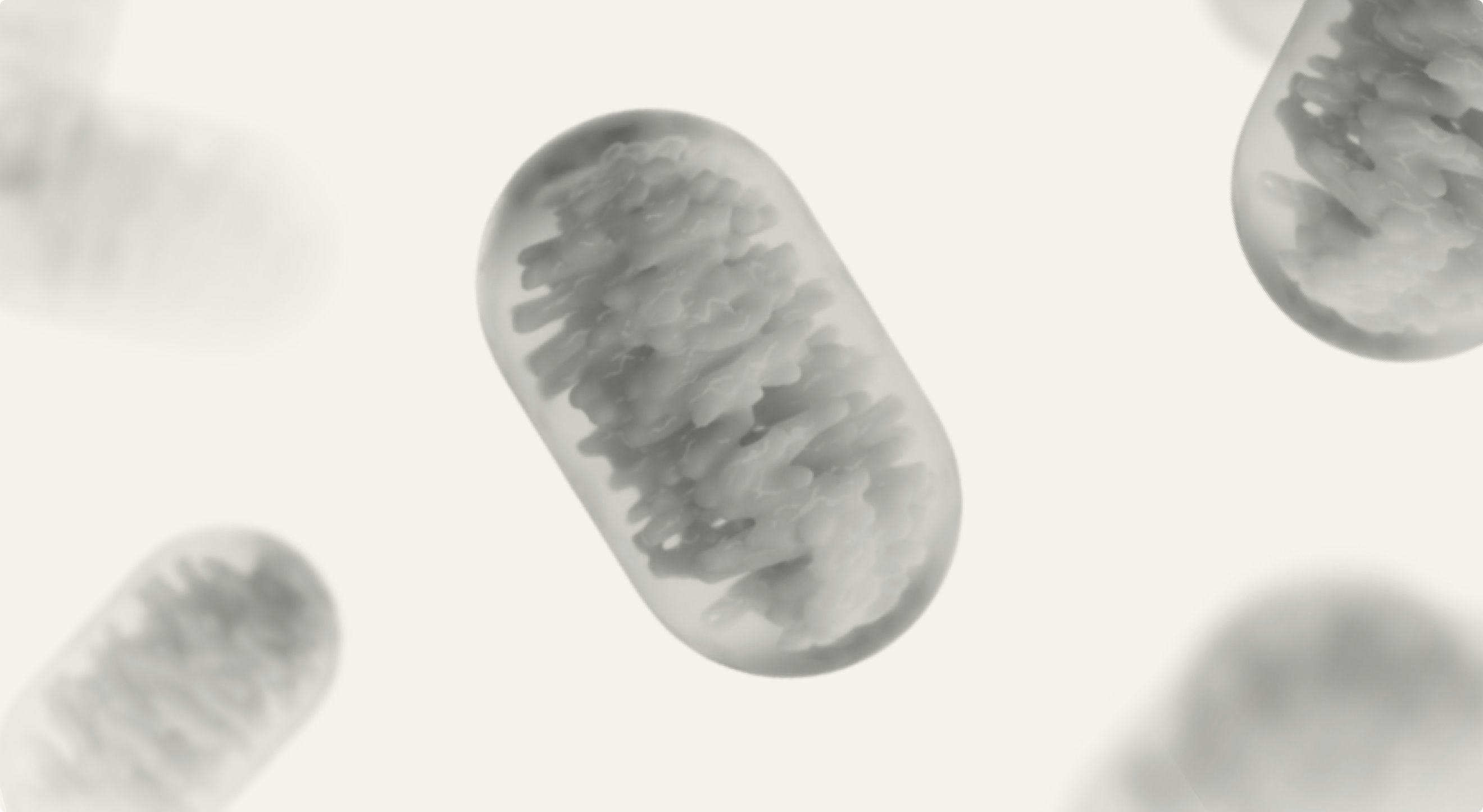 cellular signs of muscle decline