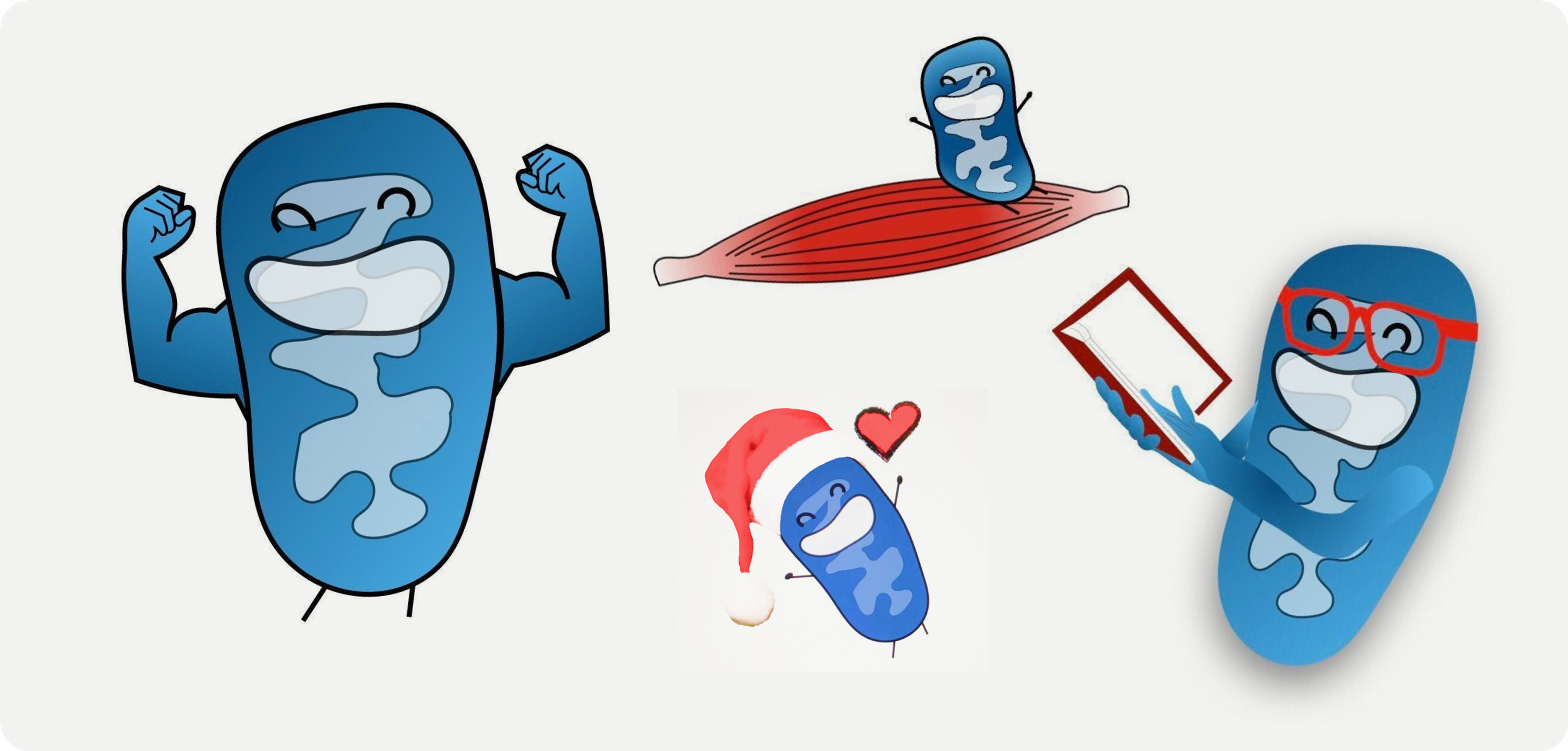 Mitochondria Drawings by Julie Faitg