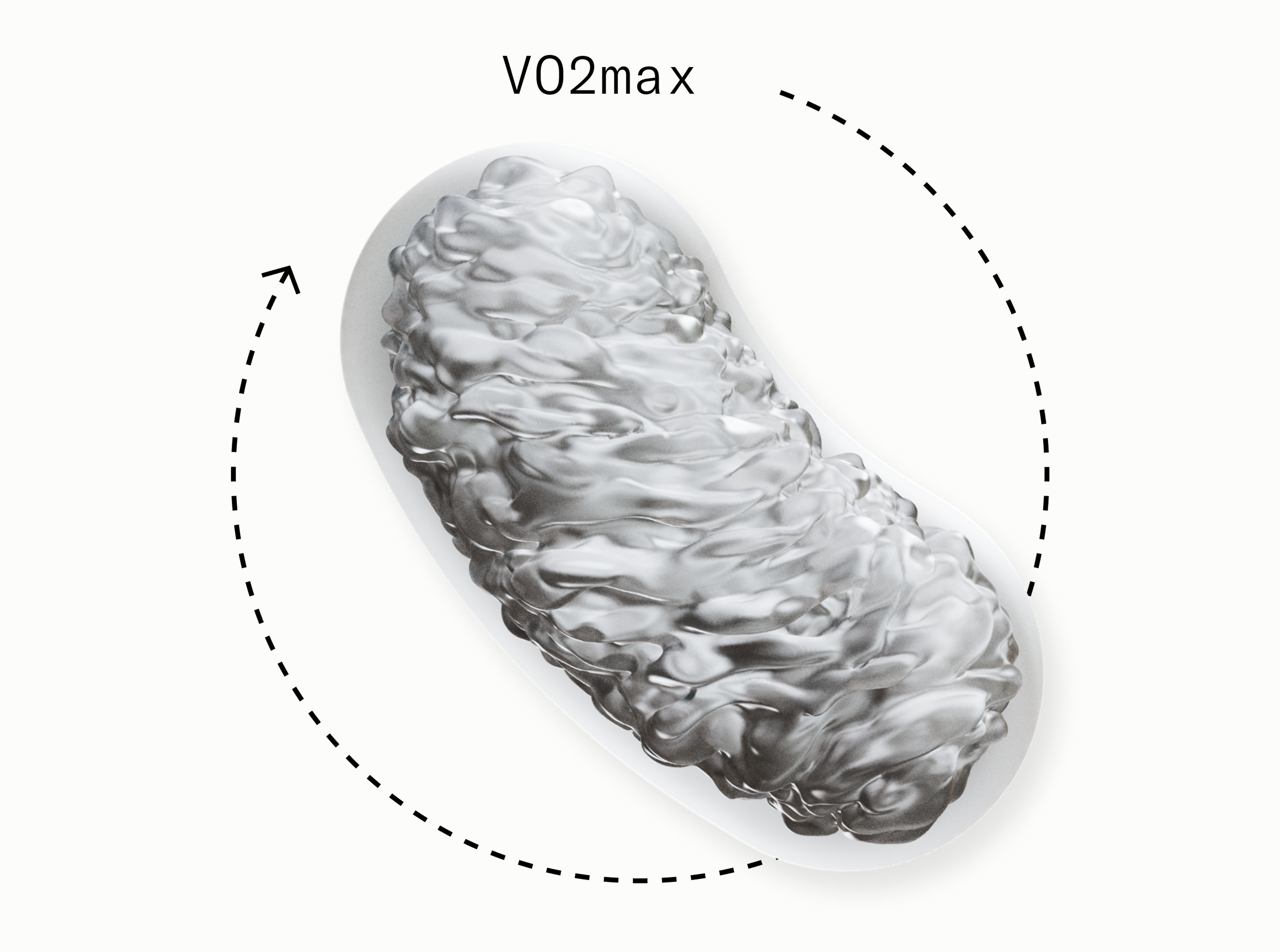 VO2max and