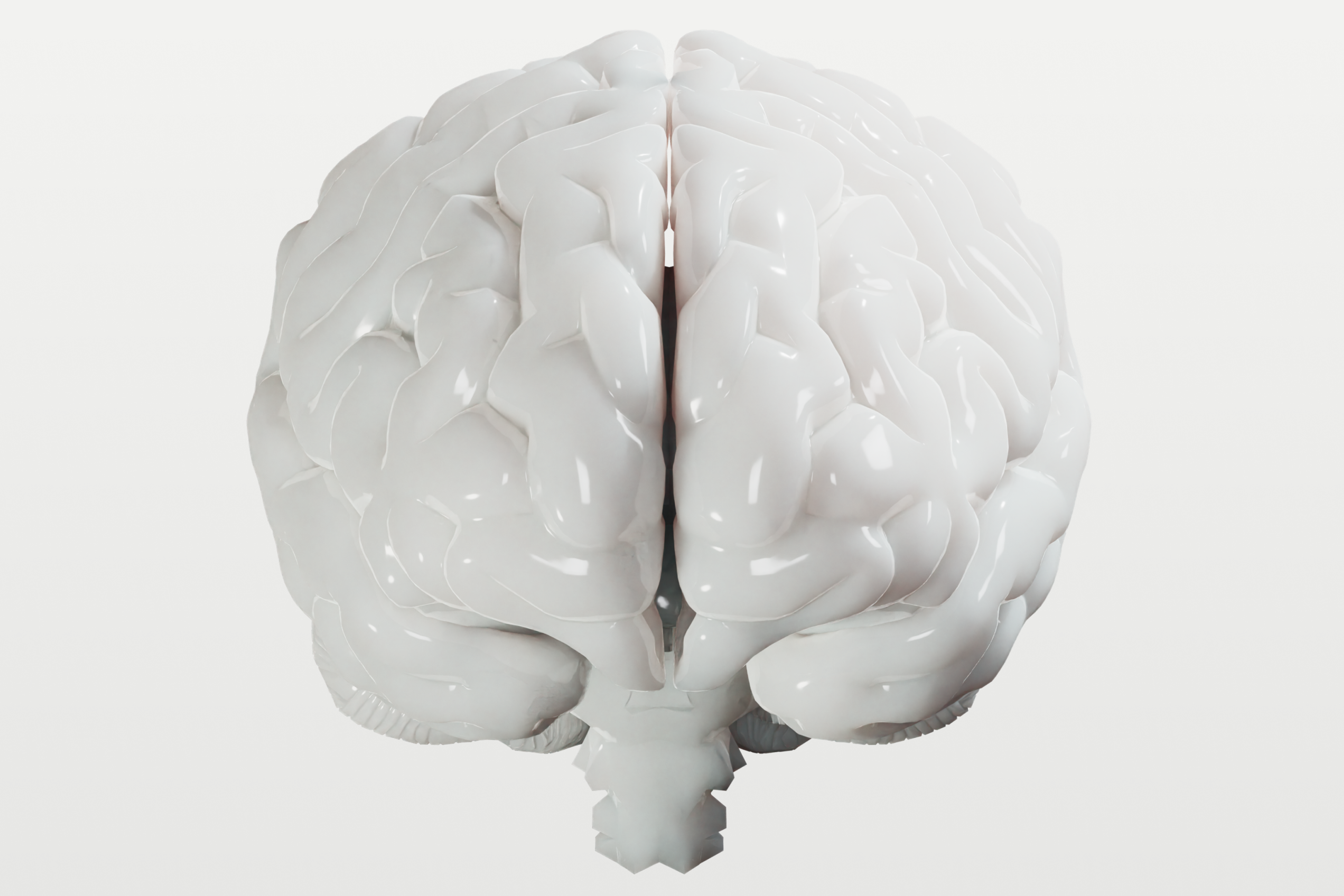 3D Human Brain