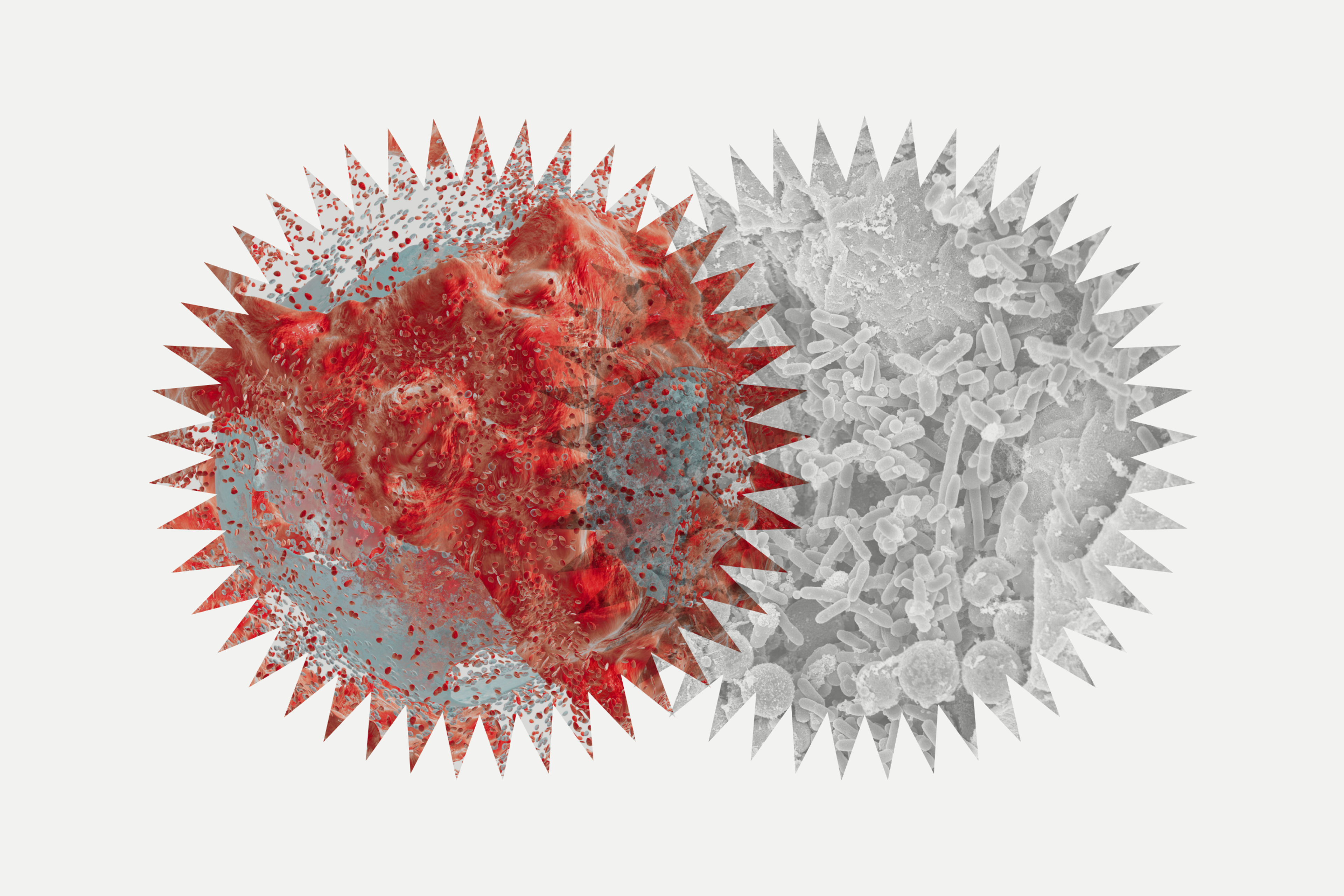 Cellular damage and oxidative stress