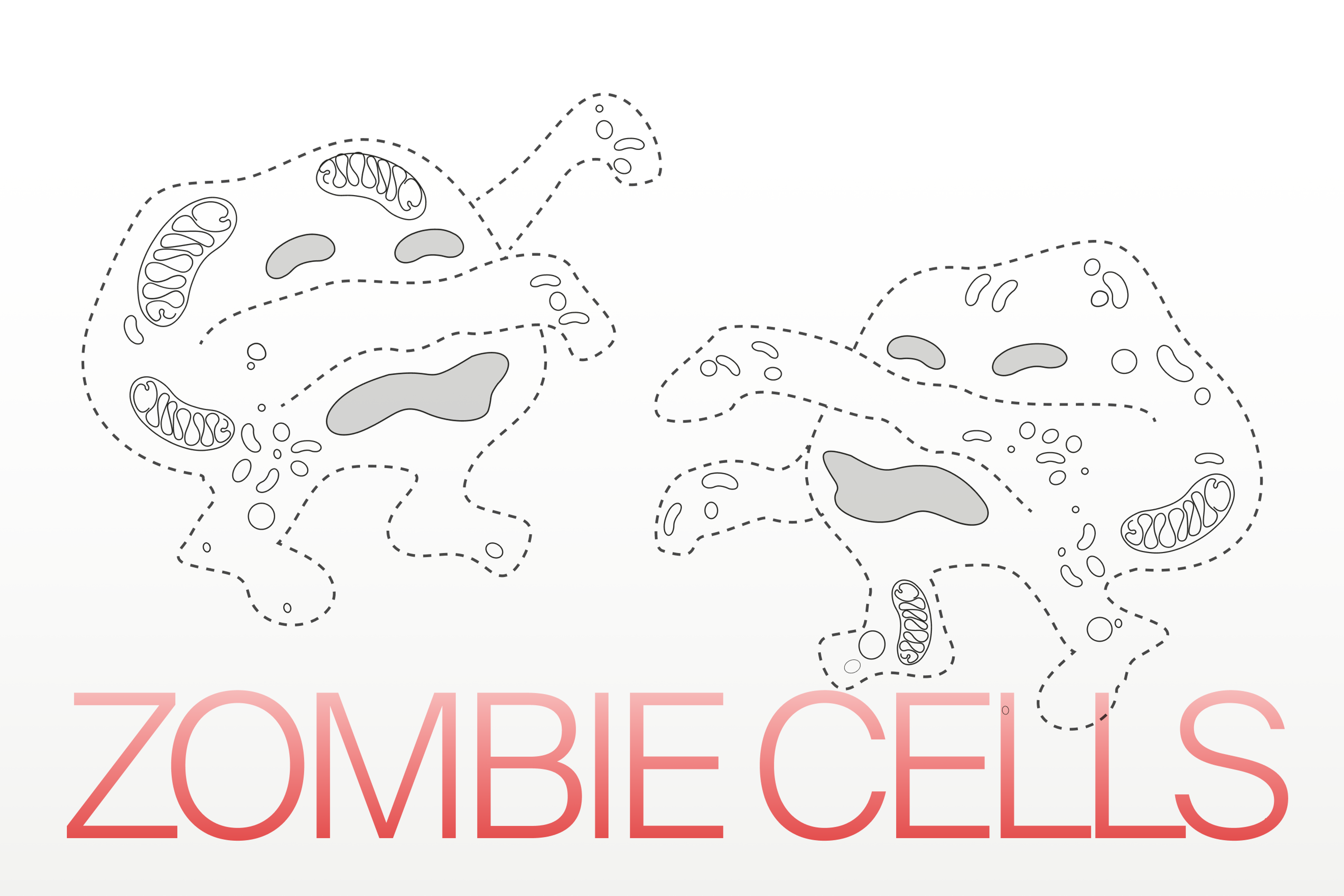 Zombie Cells
