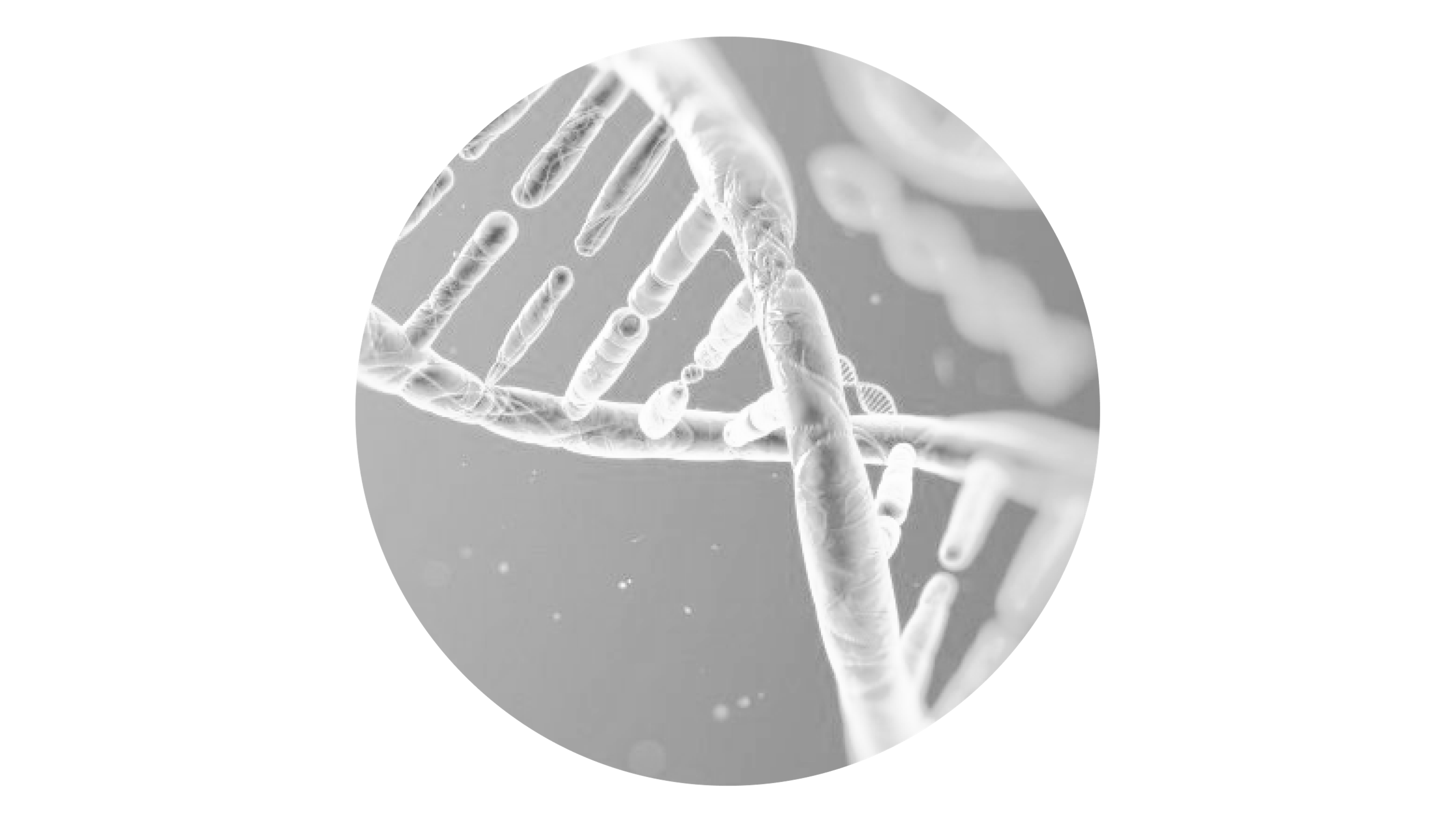 DNA 3d representation